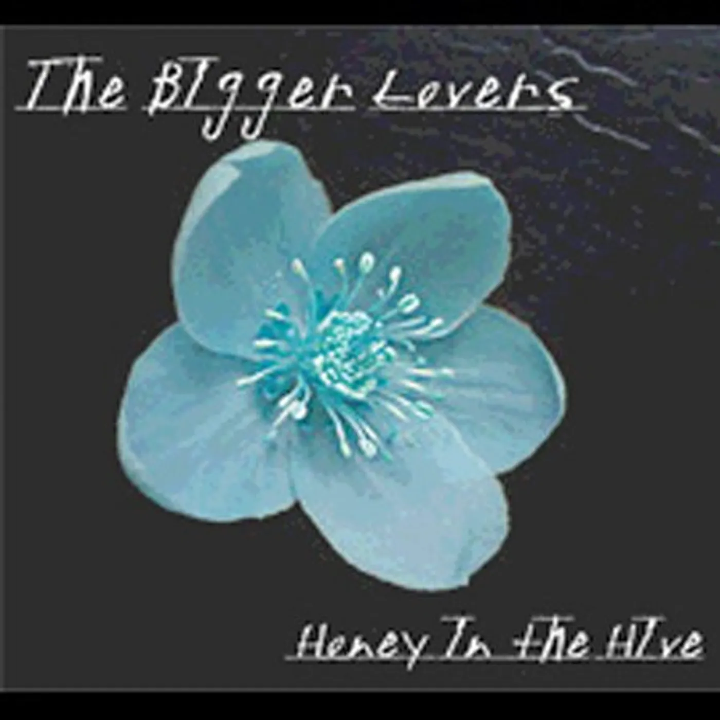 The Bigger Lovers HONEY IN THE HIVE CD