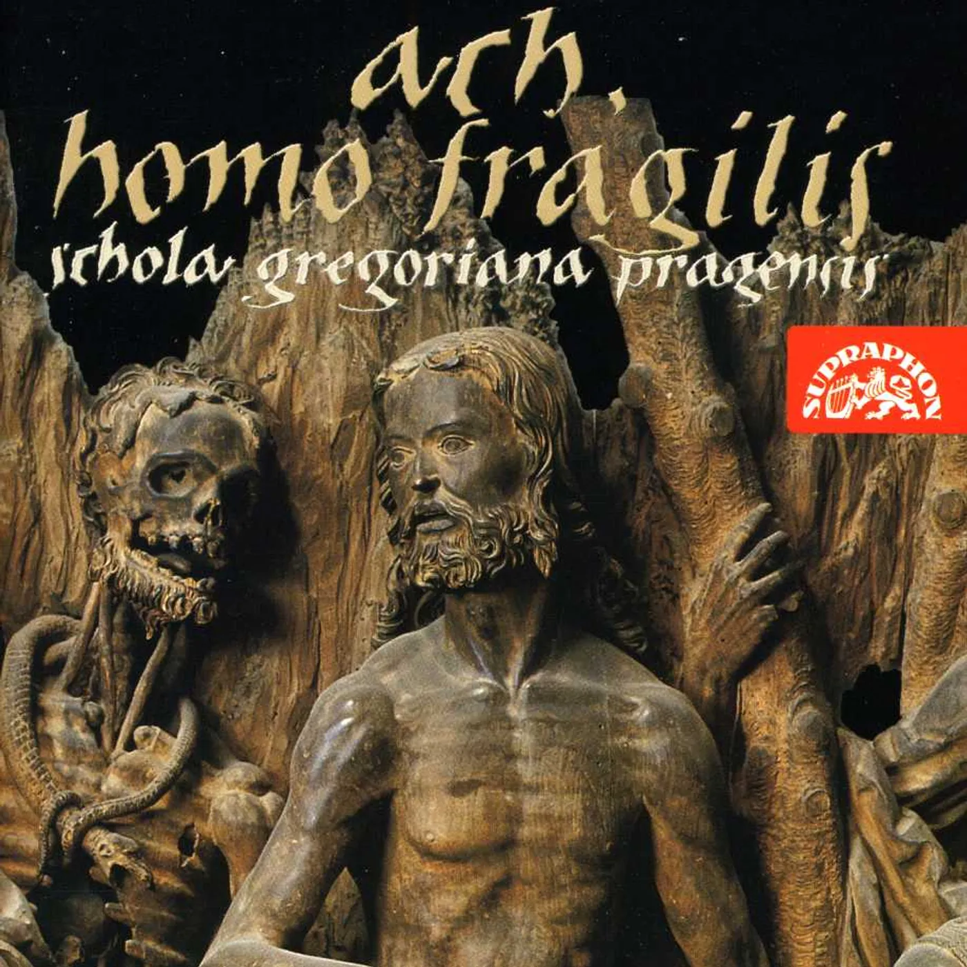 Schola Gregoriana Pragensis AH HOMO FRAGILIS (O FRAILTY OF MAN) CD
