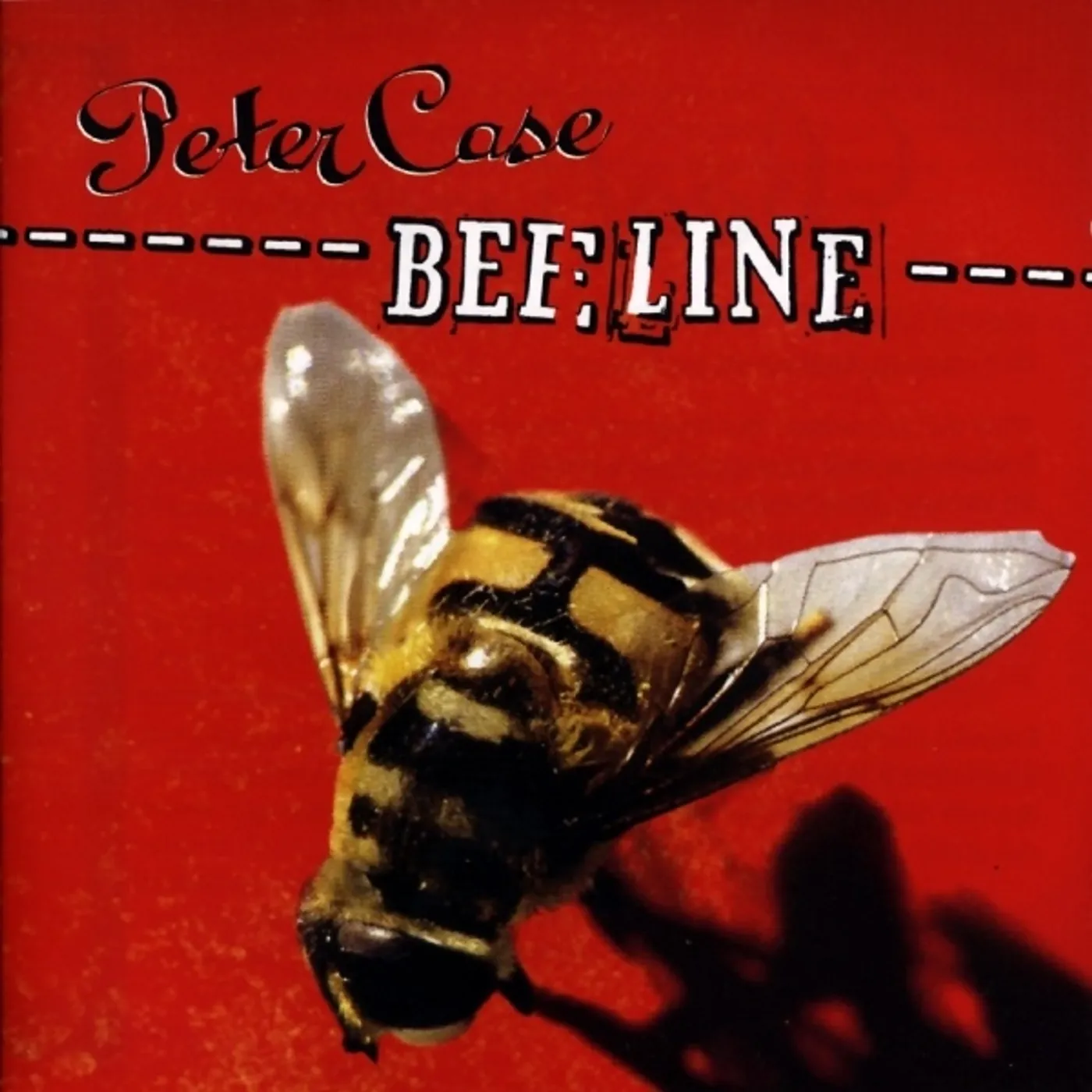 Peter Case Beeline Vinyl Record
