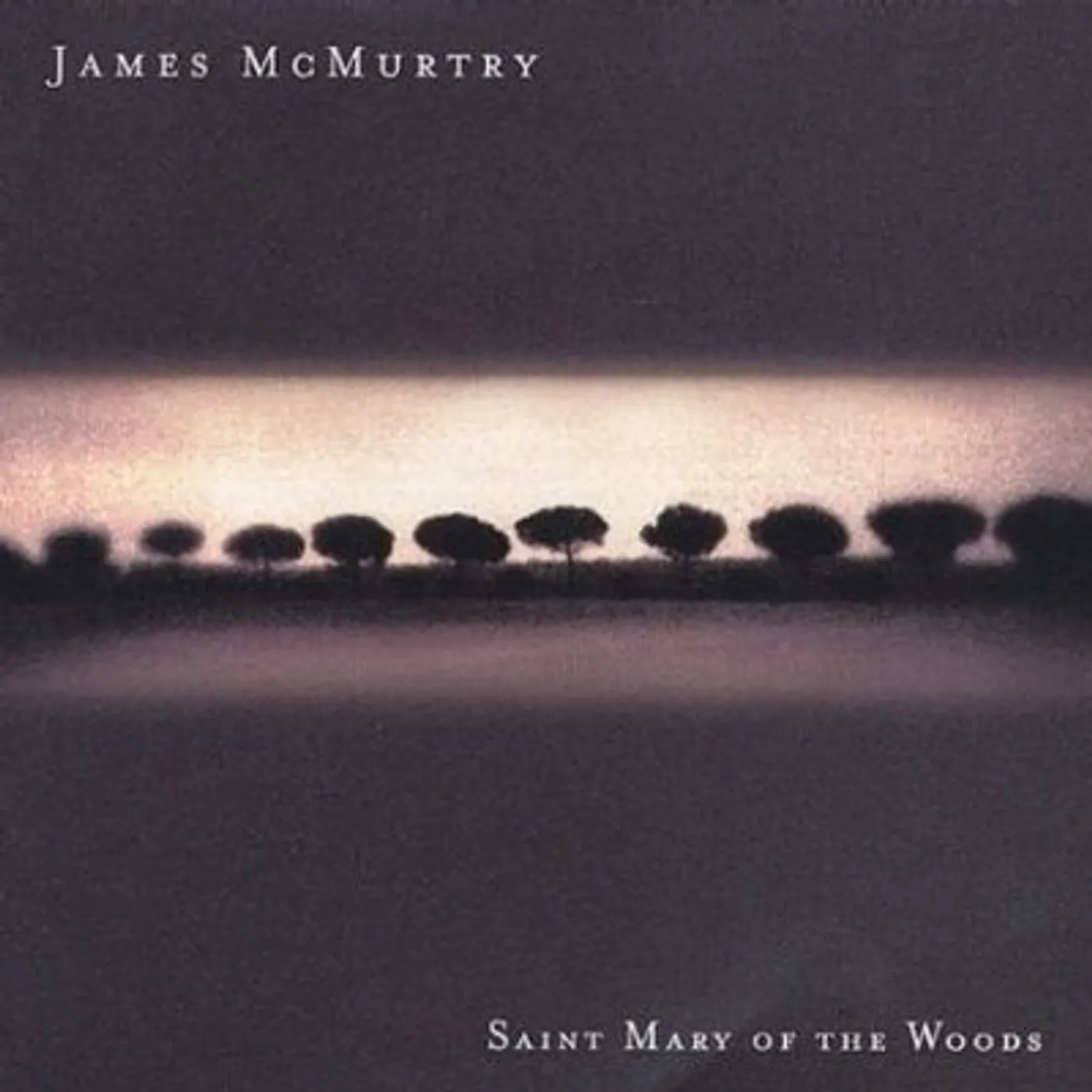 James McMurtry SAINT MARY OF THE WOODS CD