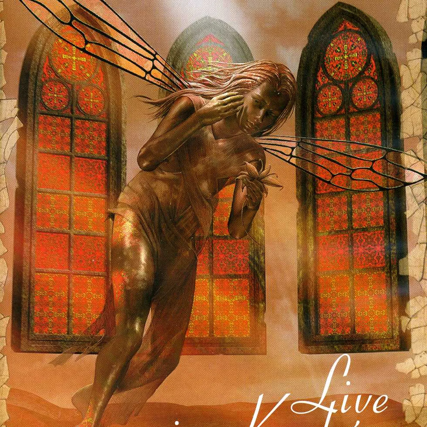 Artrosis LIVE IN KRAKOW - AMONG FLOWERS & SHADOWS DVD