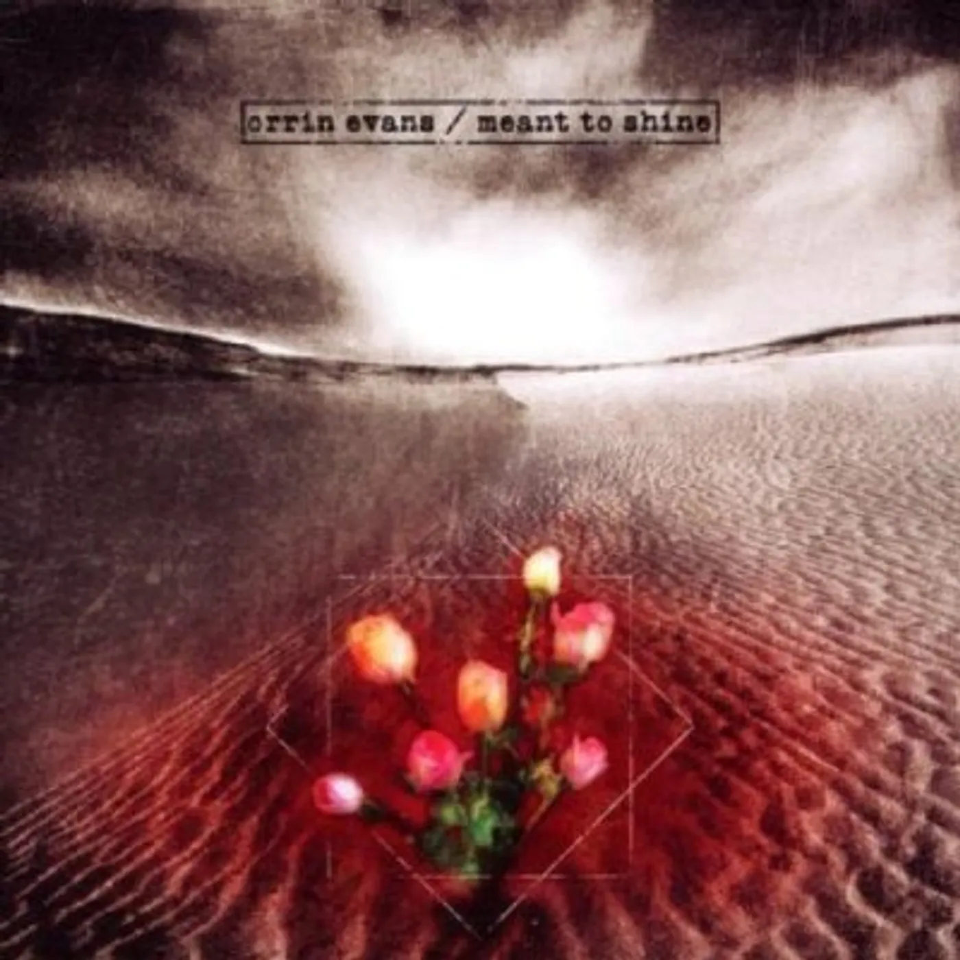 Orrin Evans MEANT TO SHINE CD