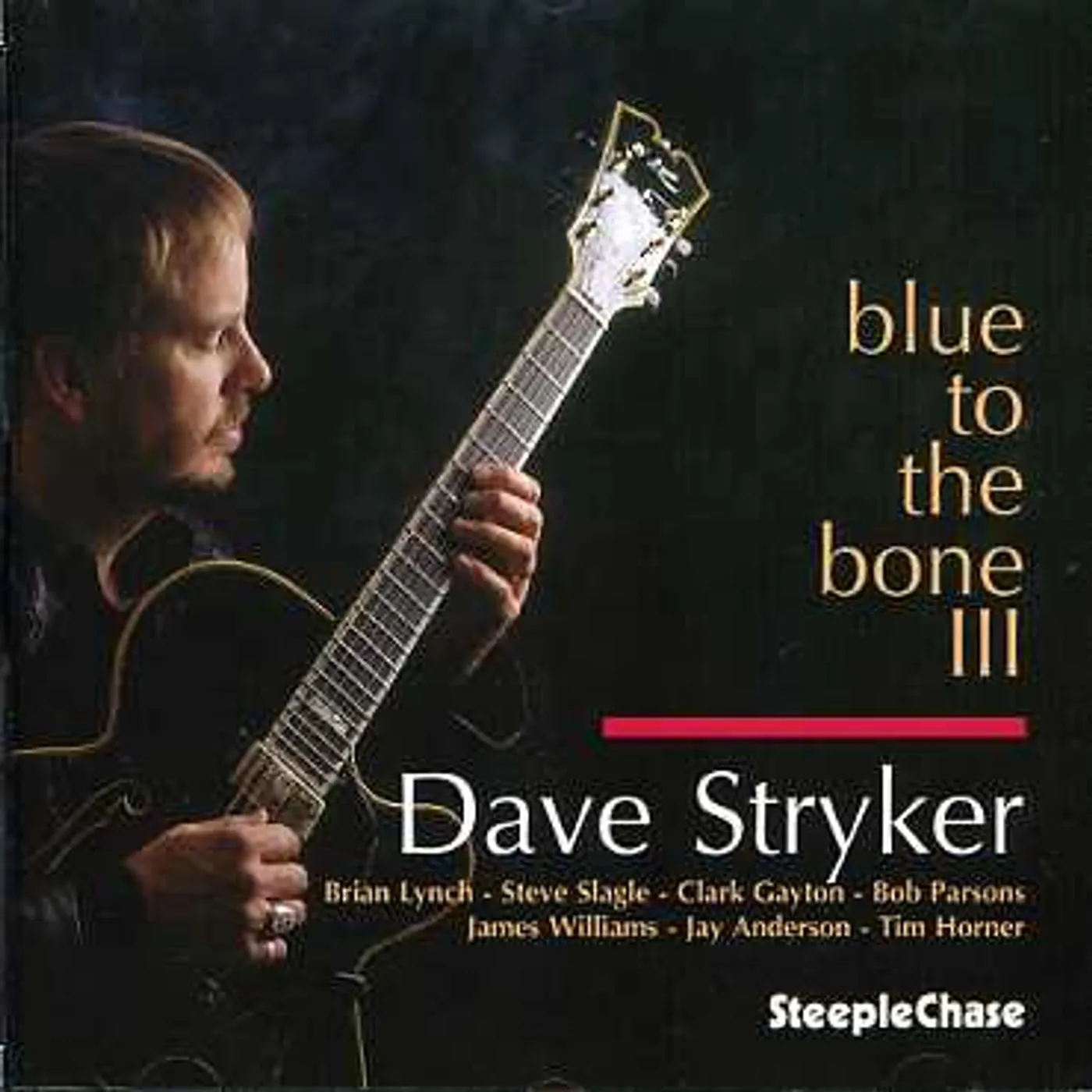 Dave Stryker BLUE TO THE BONE 3 CD