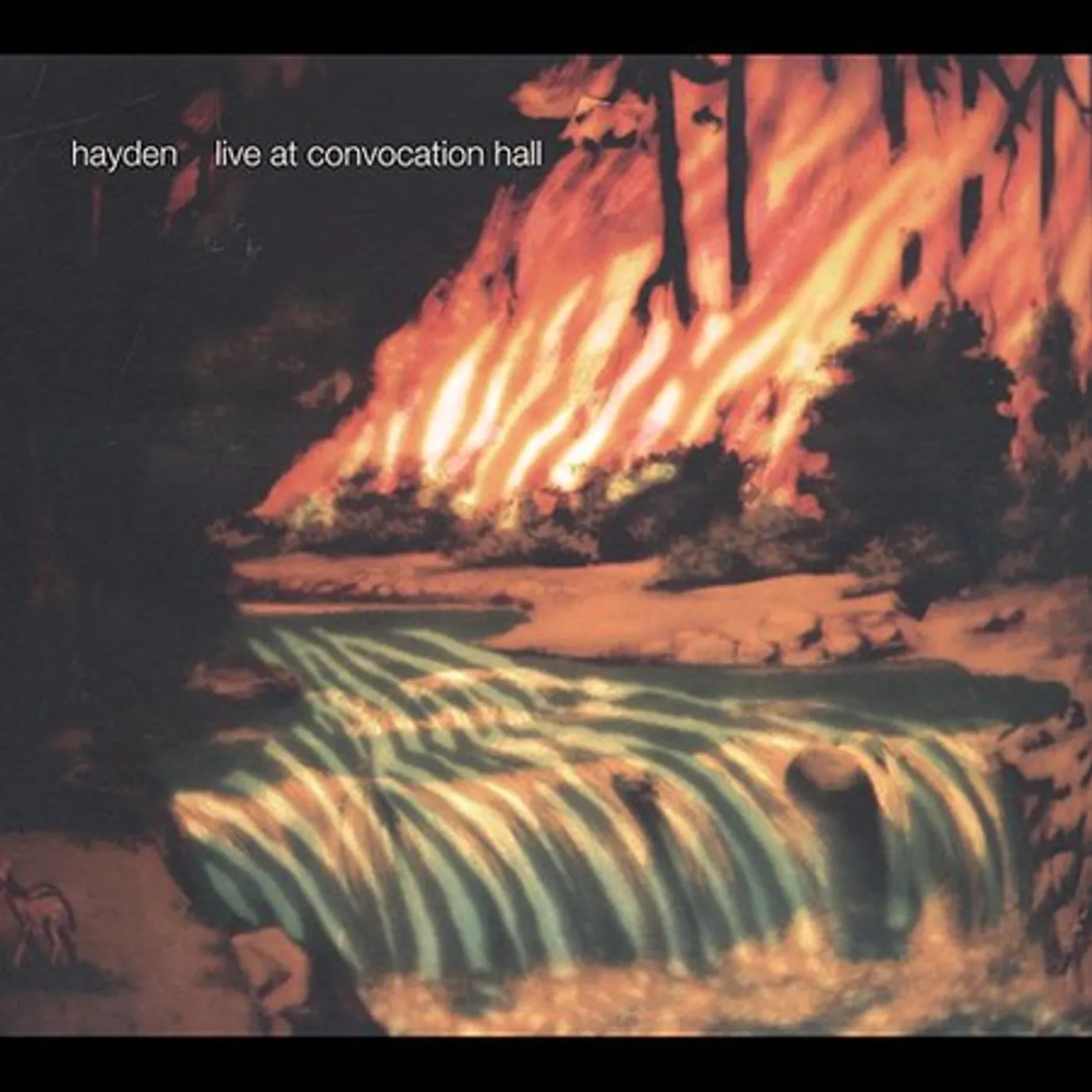 Hayden LIVE AT CONVOCATION HALL CD