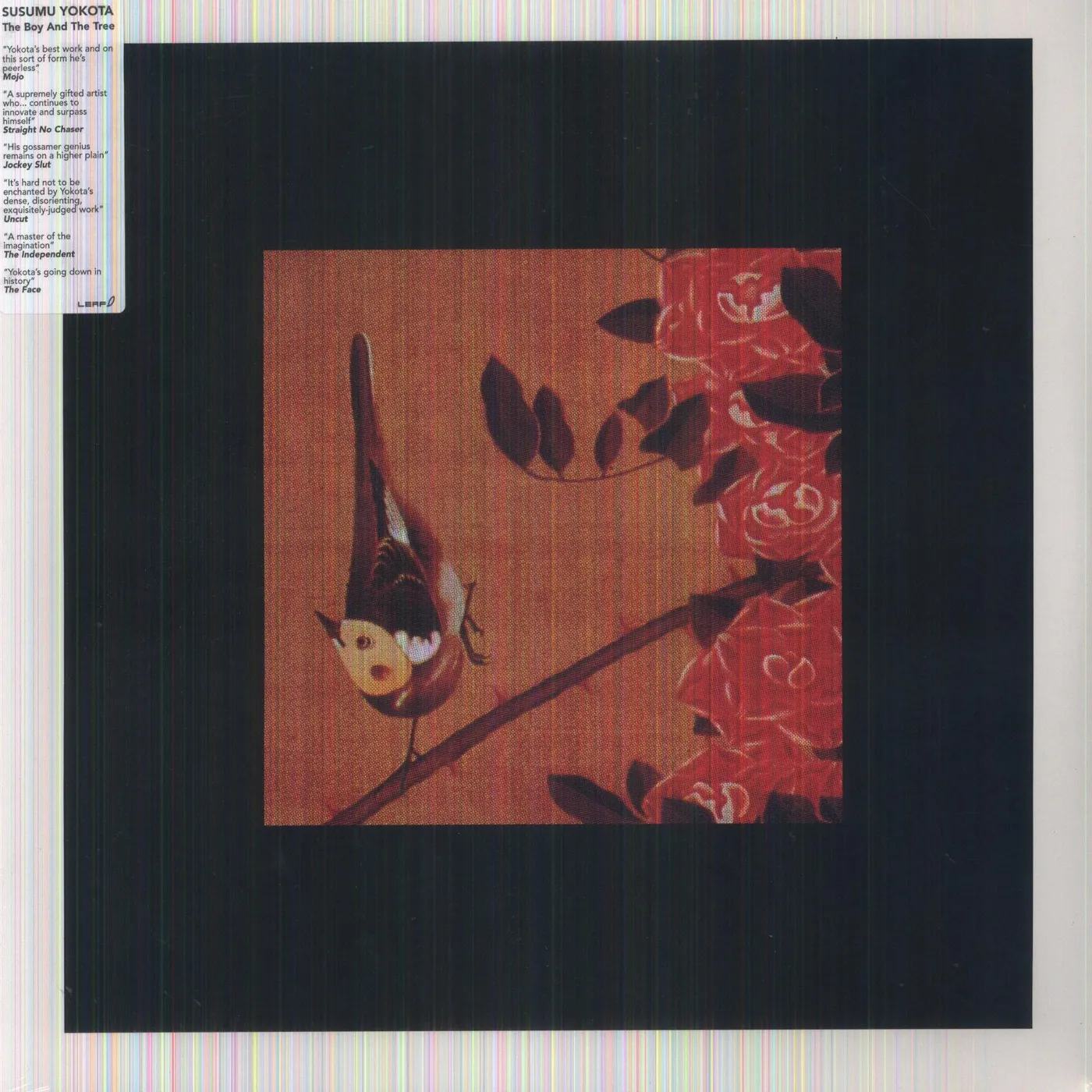 Susumu Yokota BOY & TREE (Vinyl)