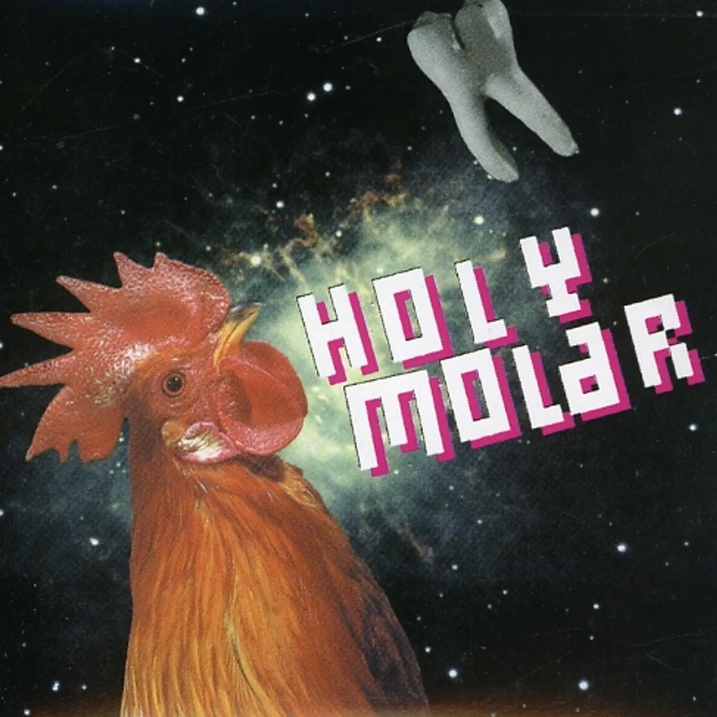 Holy Molar WHOLE TOOTH & NOTHING BUT THE TOOTH CD