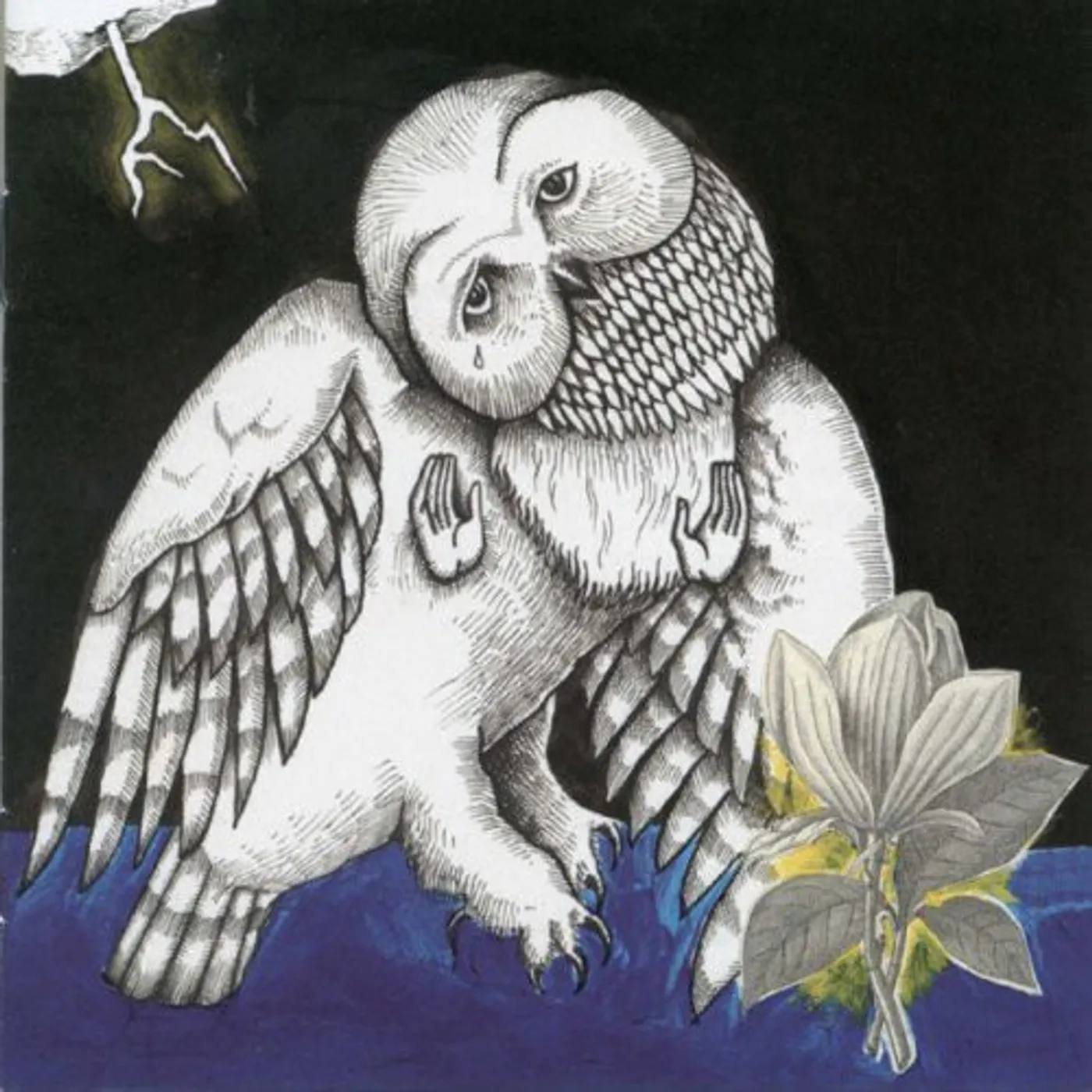 Songs: Ohia MAGNOLIA ELECTRIC CO CD