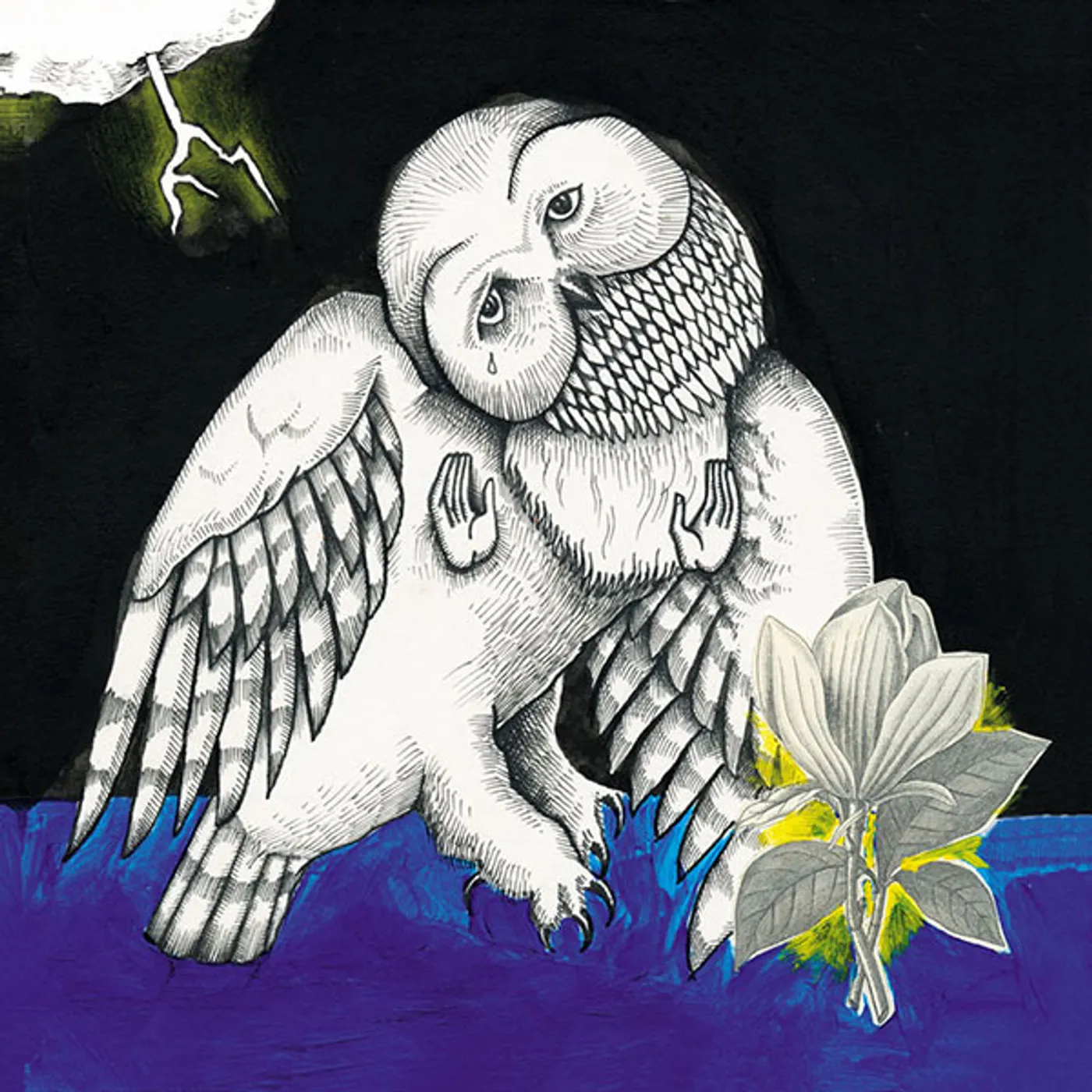 Songs: Ohia MAGNOLIA ELECTRIC CO Vinyl Record