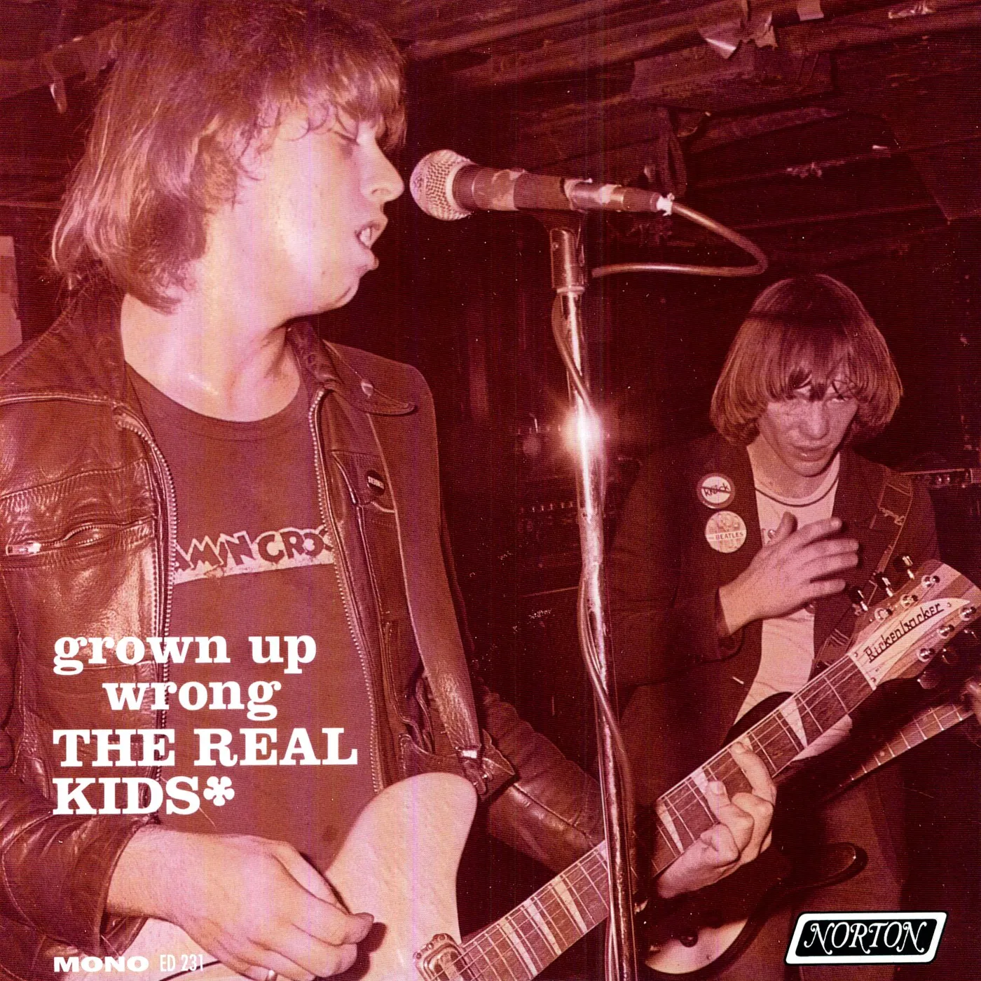The Real Kids GROWN UP WRONG Vinyl Record