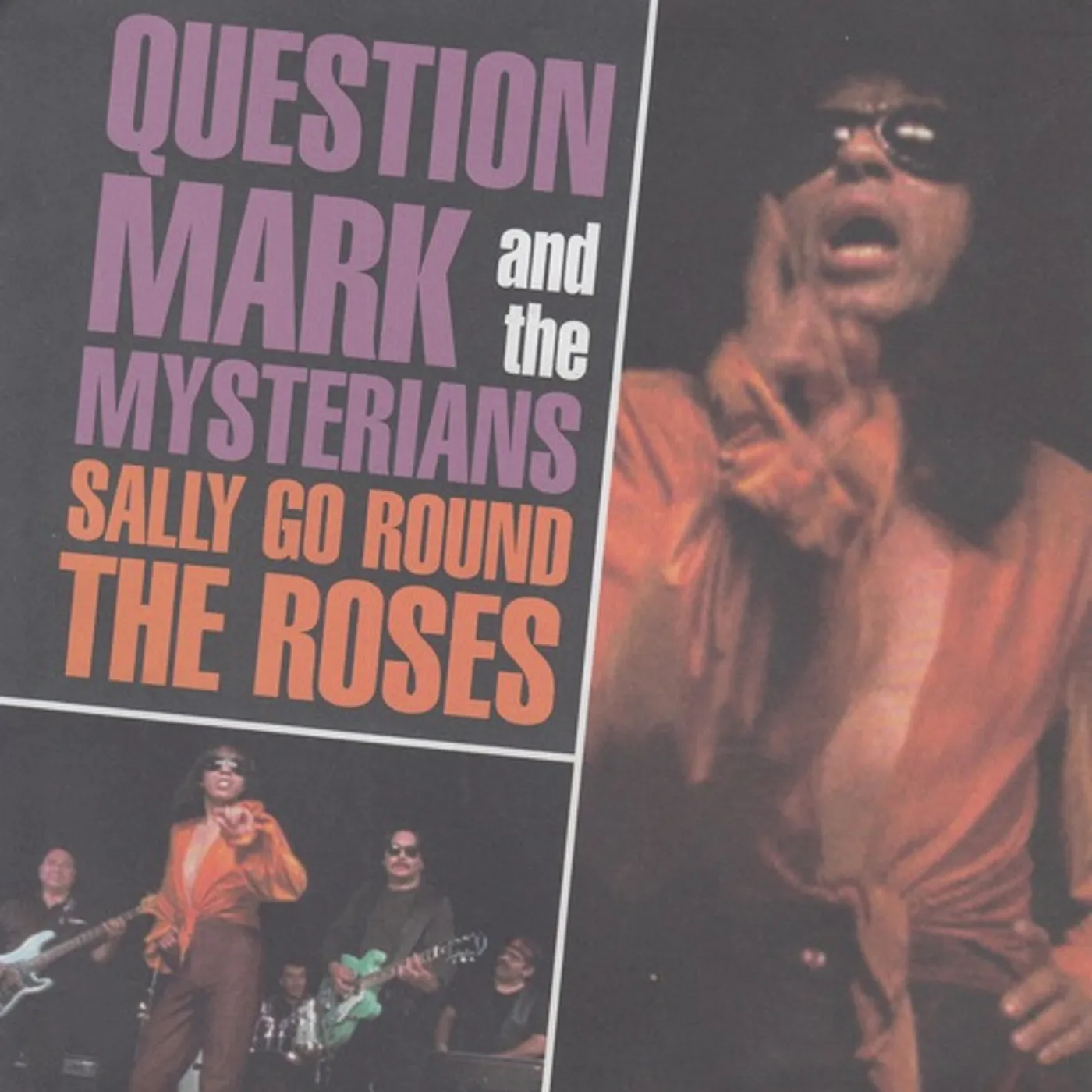 Question Mark and The Mysterians SALLY GO ROUND THE ROSES / IT'S NOT EASY Vinyl Record
