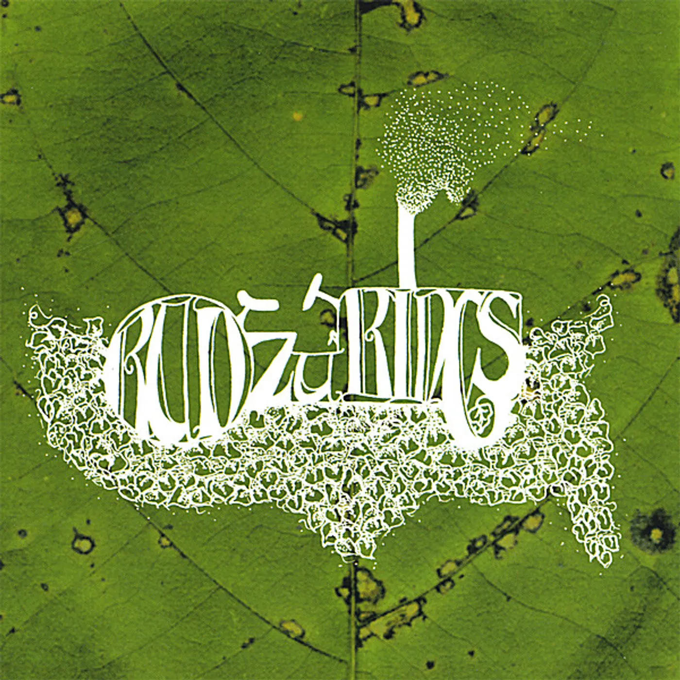 KUDZU KINGS CD