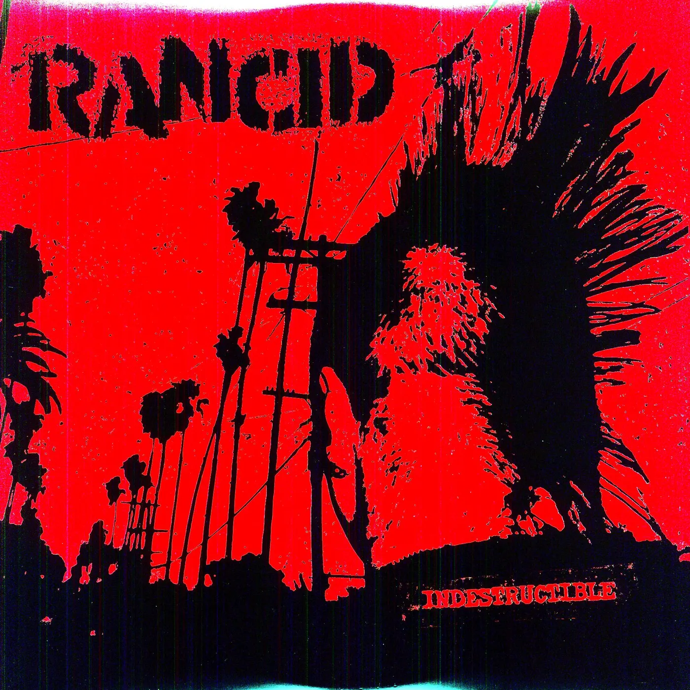 Rancid Indestructible Vinyl Record
