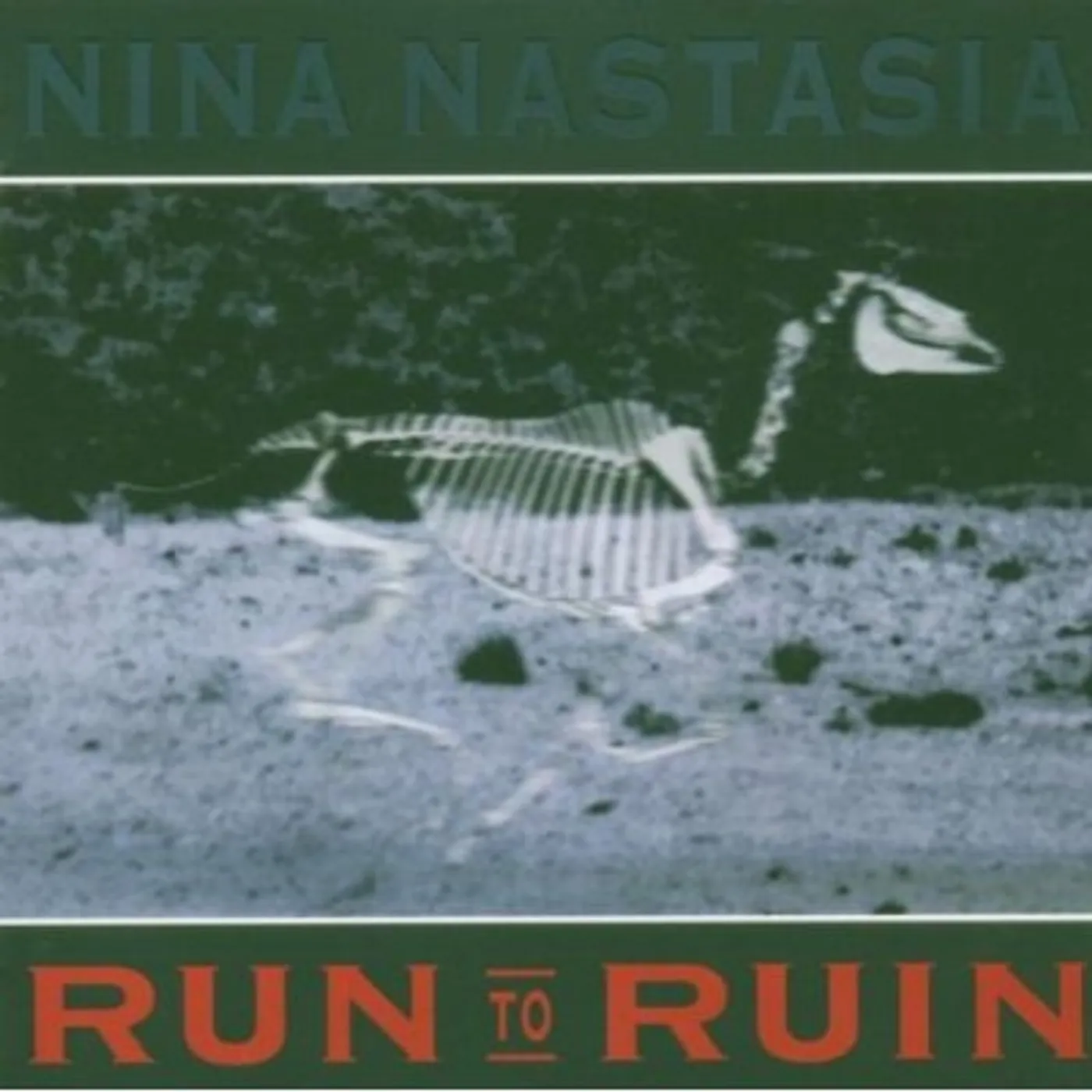 Nina Nastasia RUN TO RUIN CD