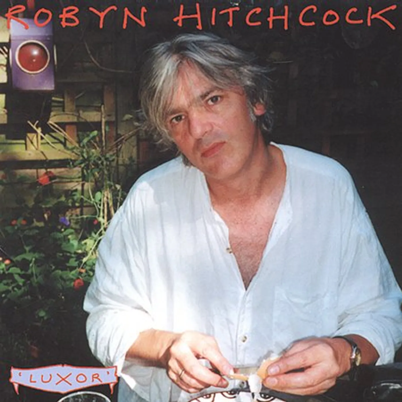 Robyn Hitchcock LUXOR CD