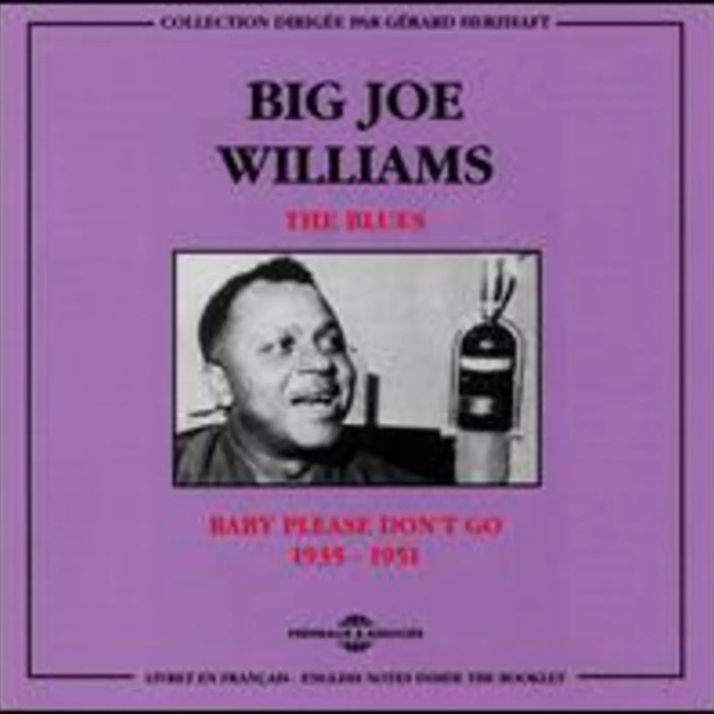 Big Joe Williams BLUES CD