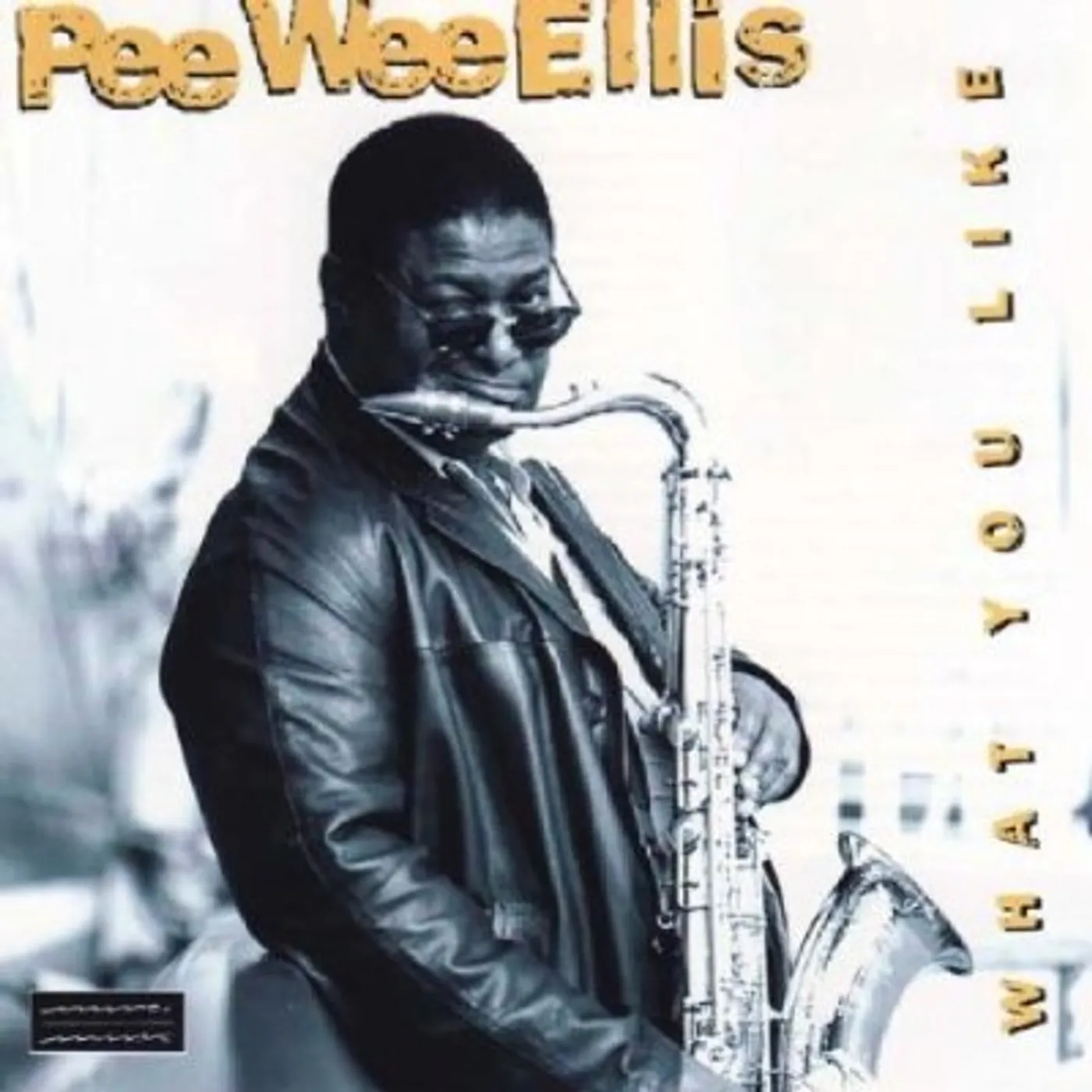 Pee Wee Ellis WHAT YOU LIKE CD