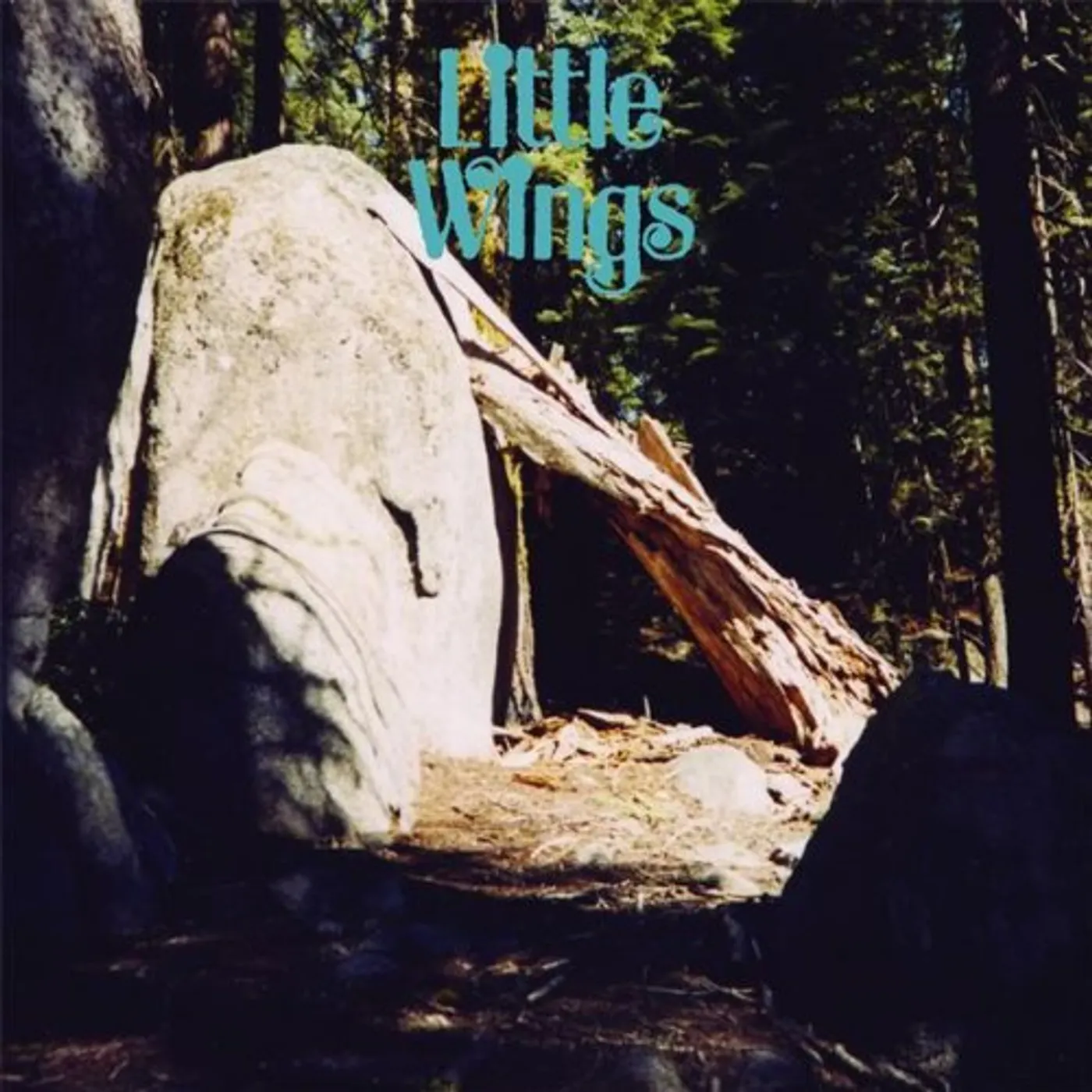 Little Wings DISCOVER WORLDS OF WONDER CD