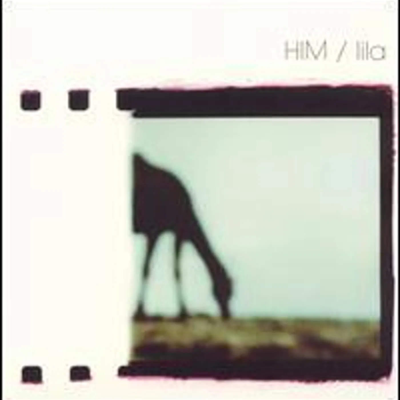 HIM Lila Vinyl Record