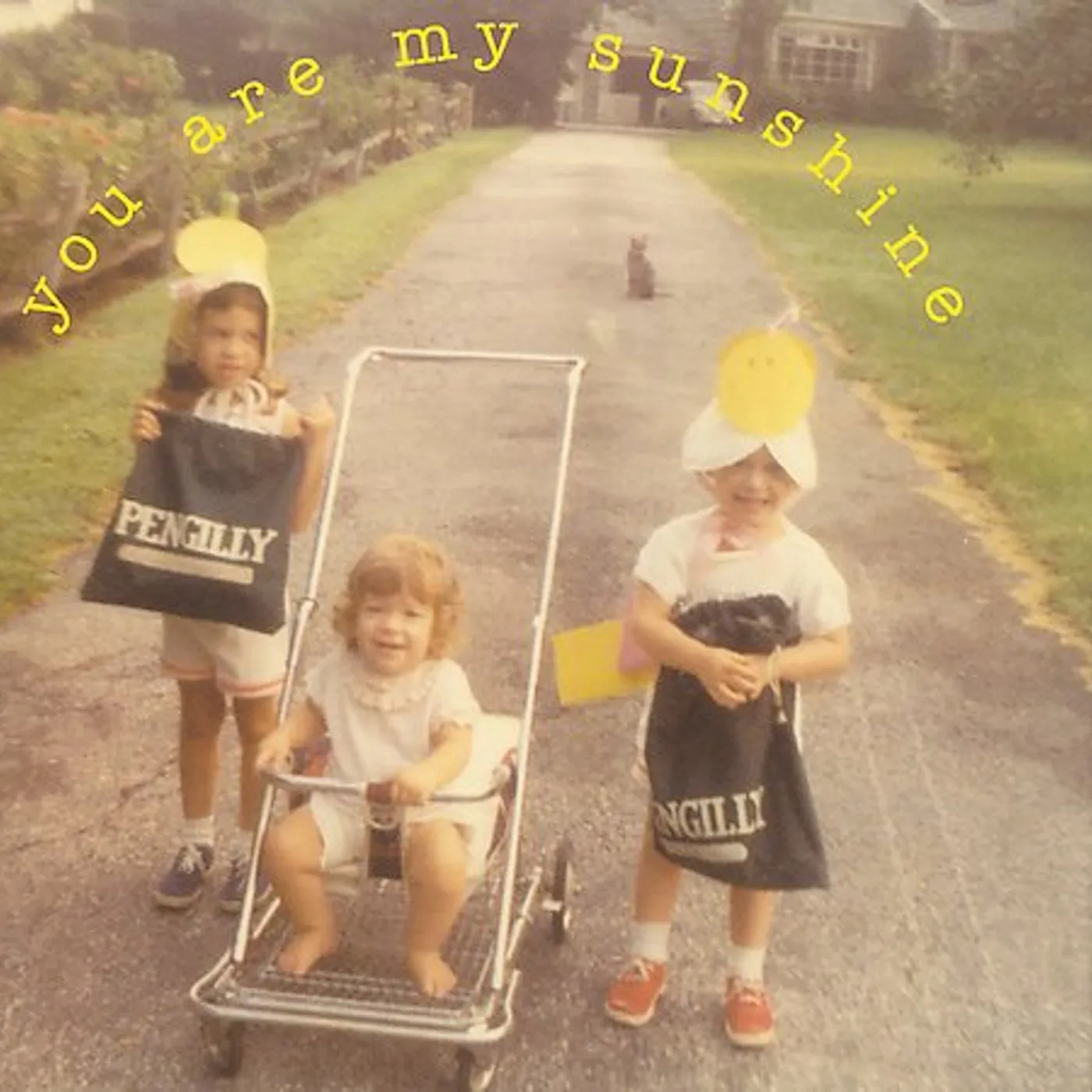 Elizabeth Mitchell YOU ARE MY SUNSHINE CD