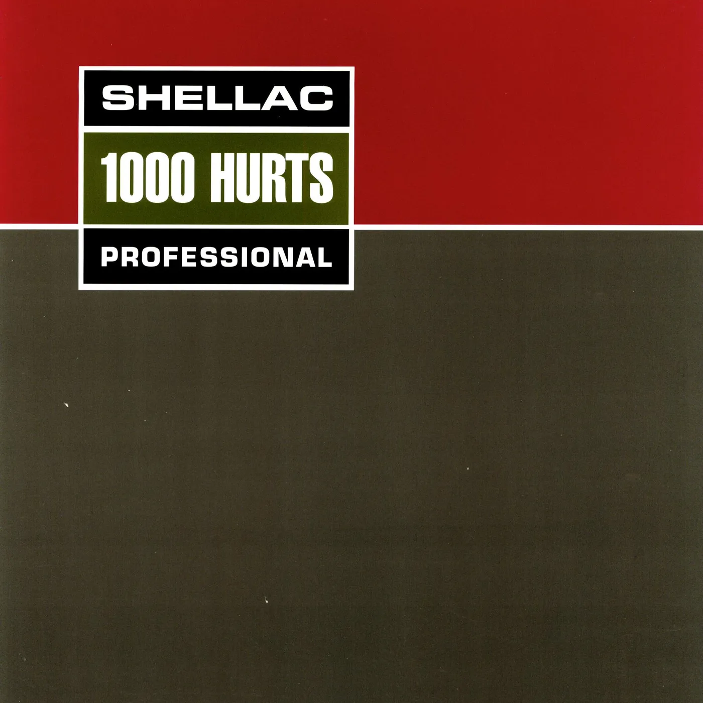 Shellac 1000 Hurts Vinyl Record