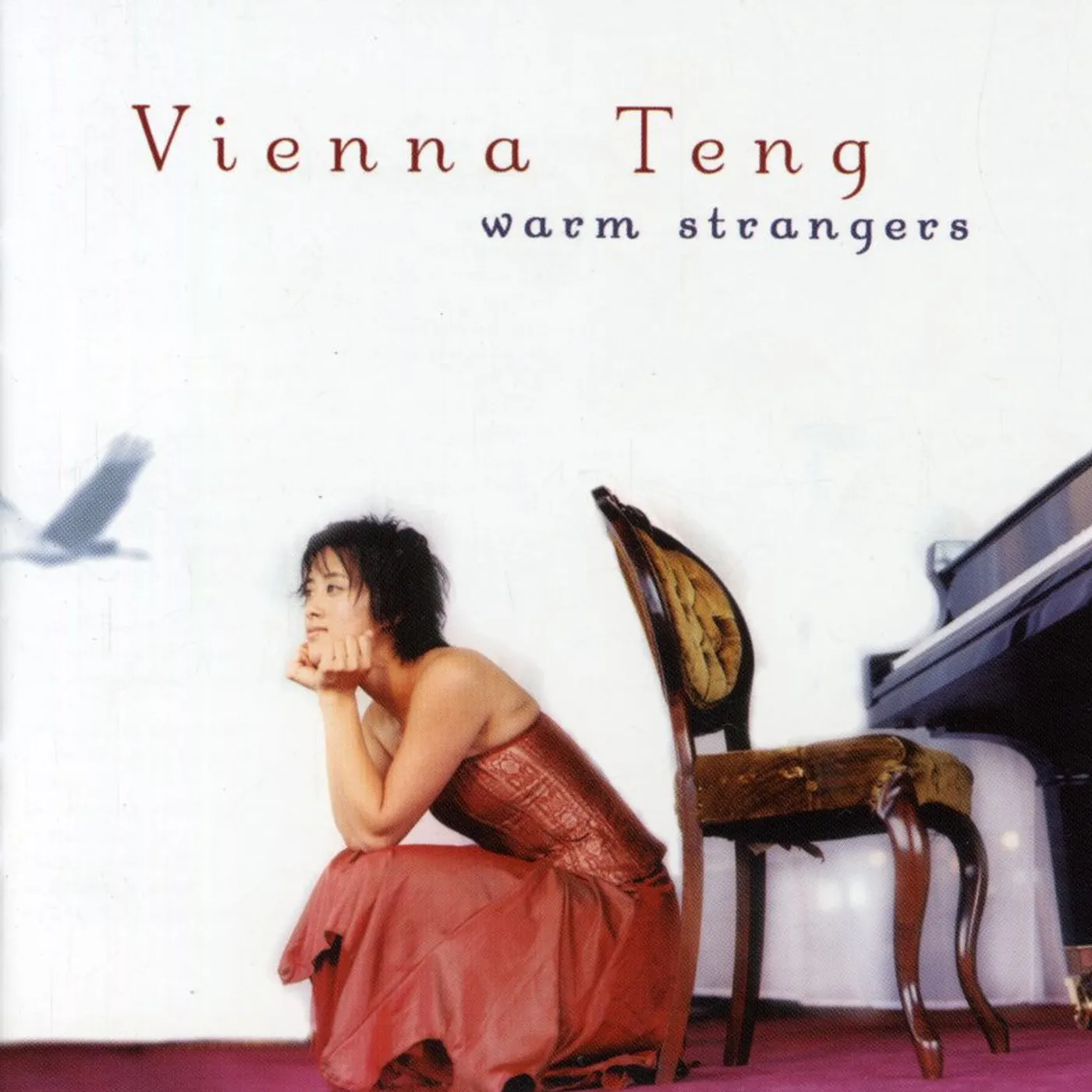 Vienna Teng WARM STRANGERS CD