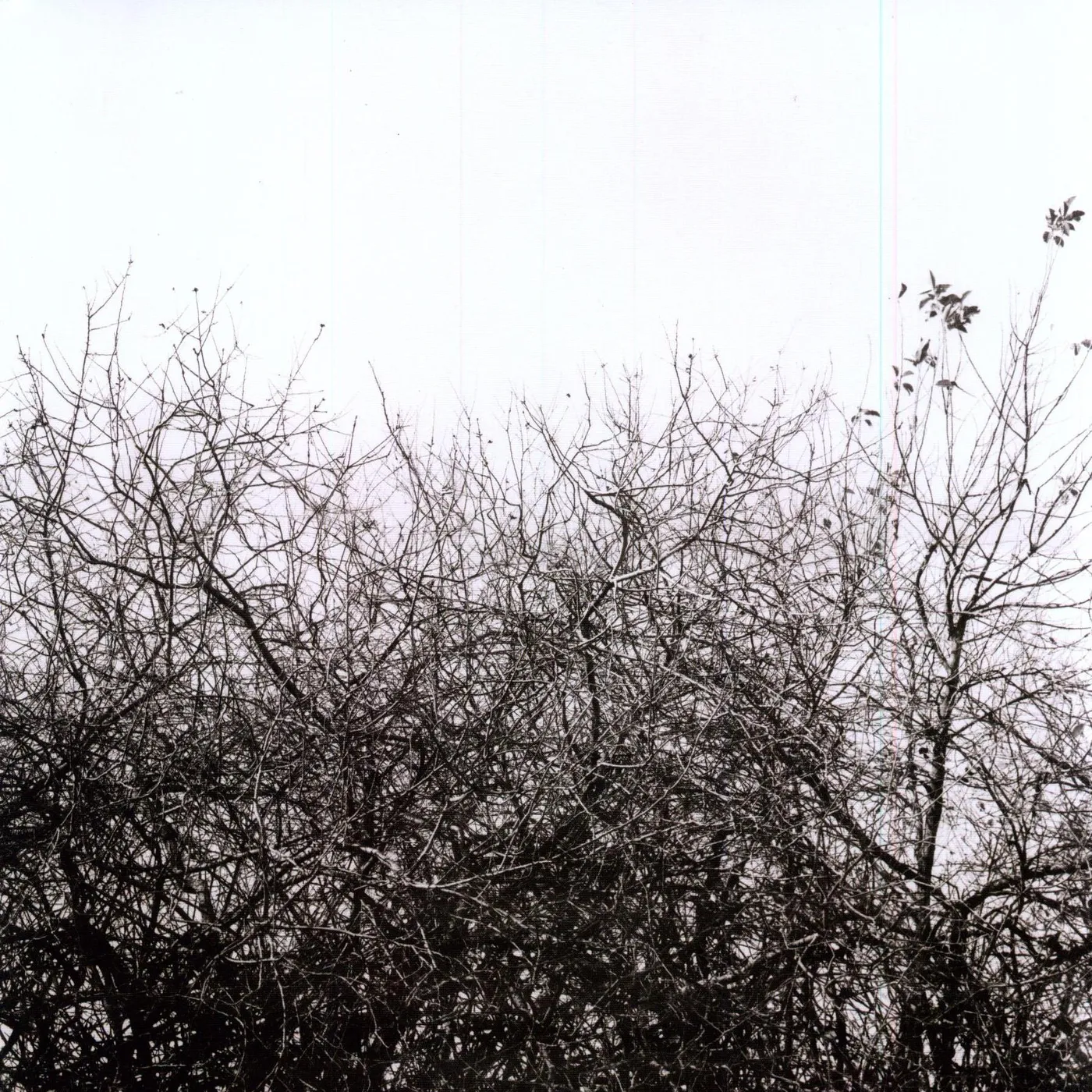 Simon Joyner Lost With The Lights On Vinyl Record