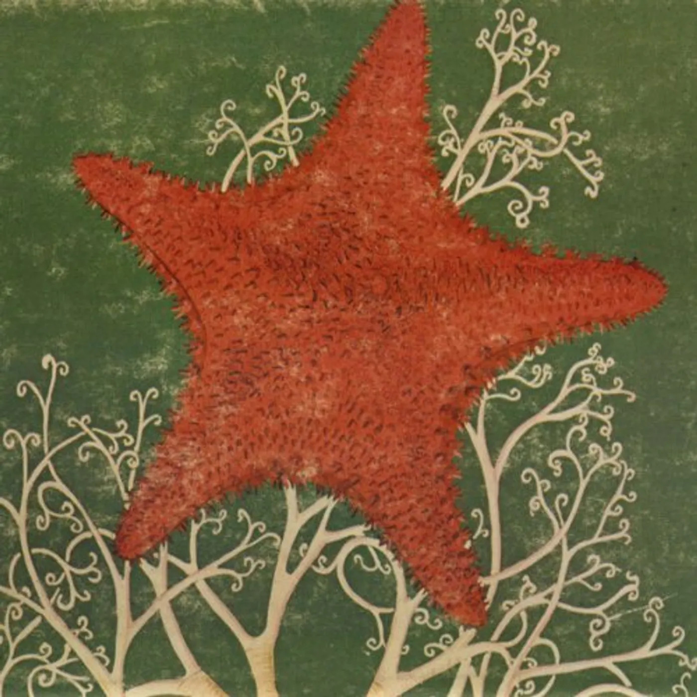 The Blithe Sons ARM OF THE STARFISH CD