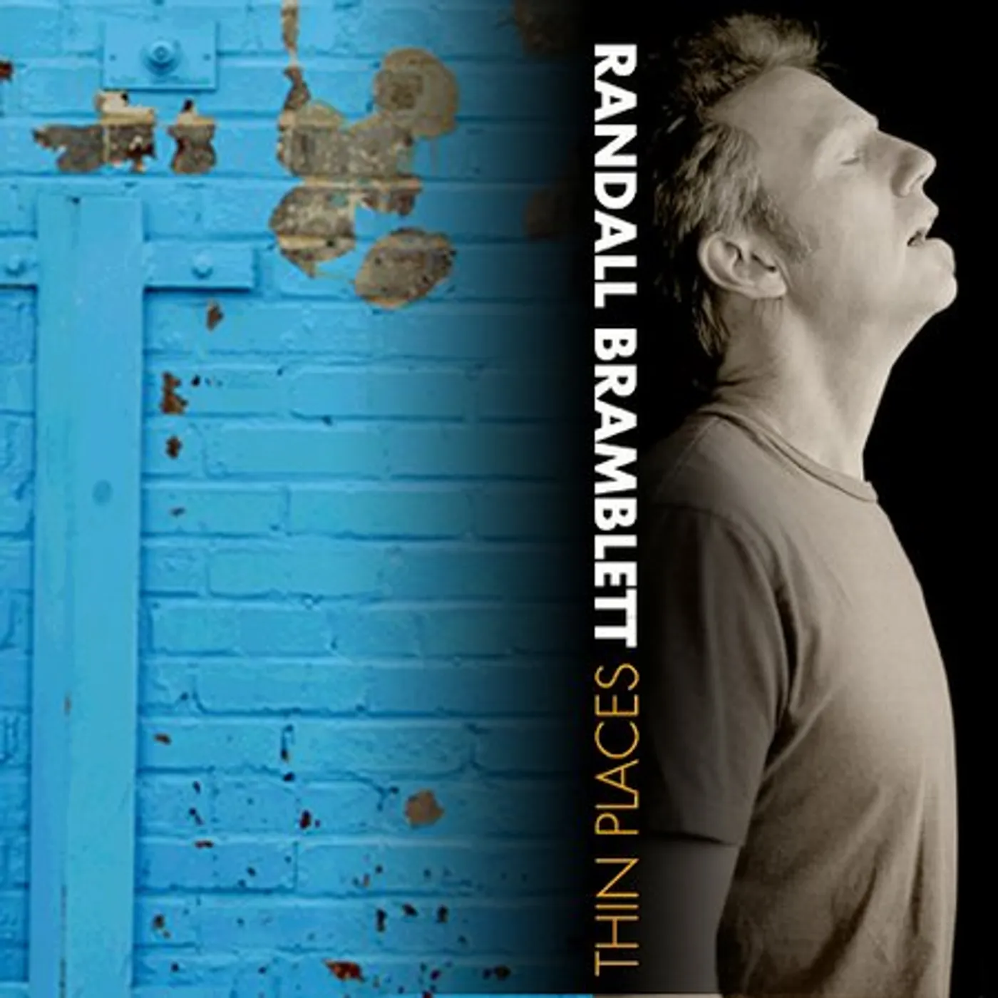 Randall Bramblett THIN PLACES CD