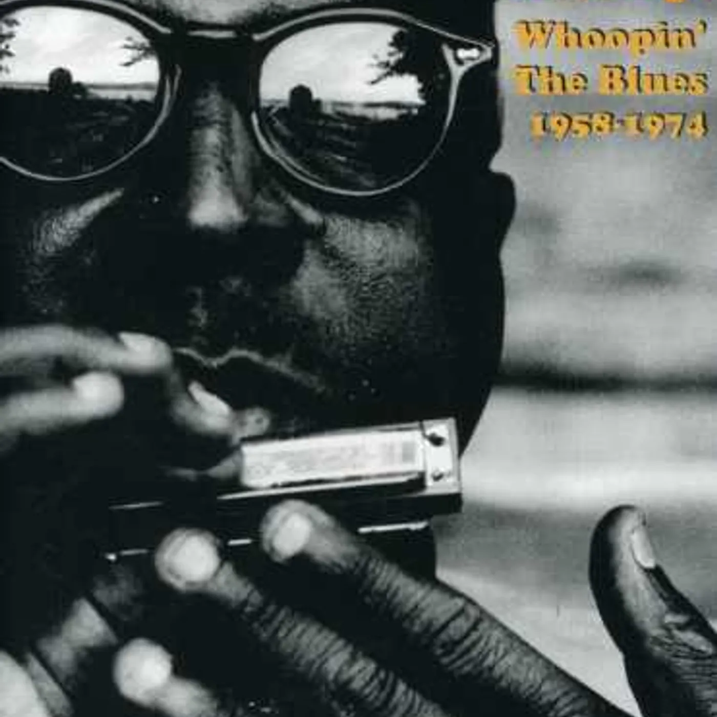 Sonny Terry and Brownie McGhee WHOOPIN THE BLUES 1958-1974 DVD