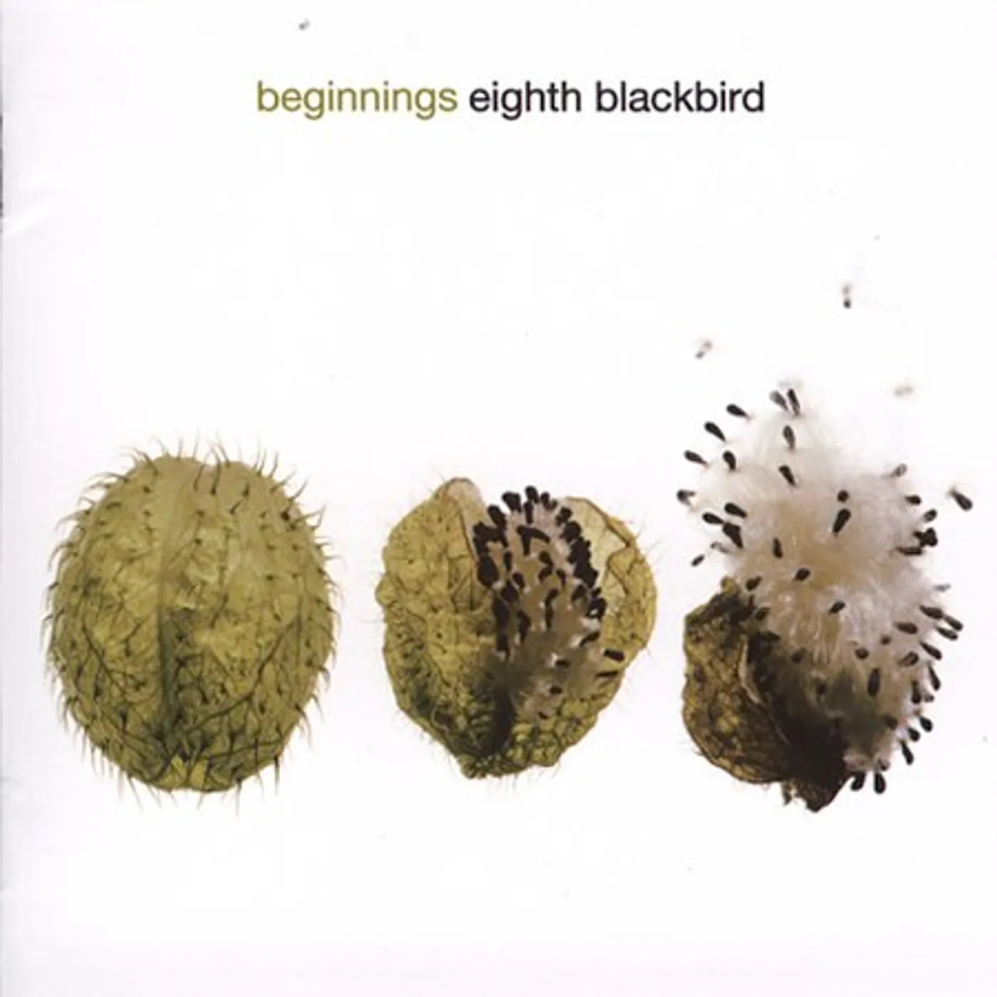 eighth blackbird BEGINNINGS: CRUMB - VOX BALAENAE; ET AL CD