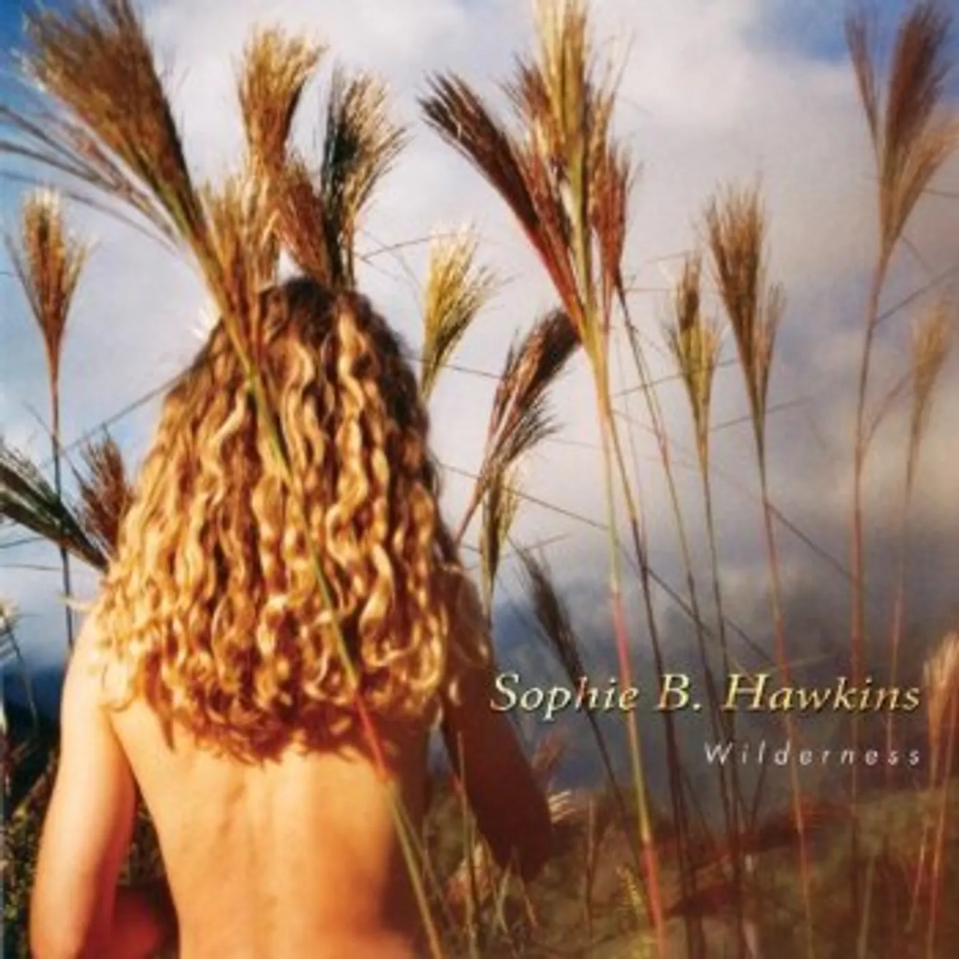 Sophie B. Hawkins WILDERNESS CD