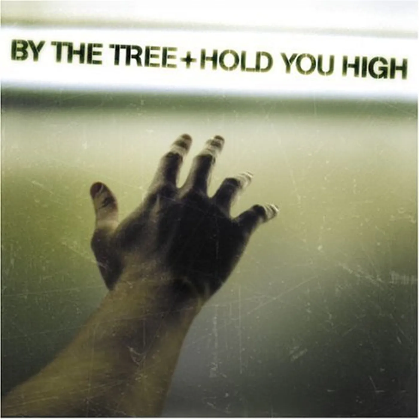 By The Tree HOLD YOU HIGH CD
