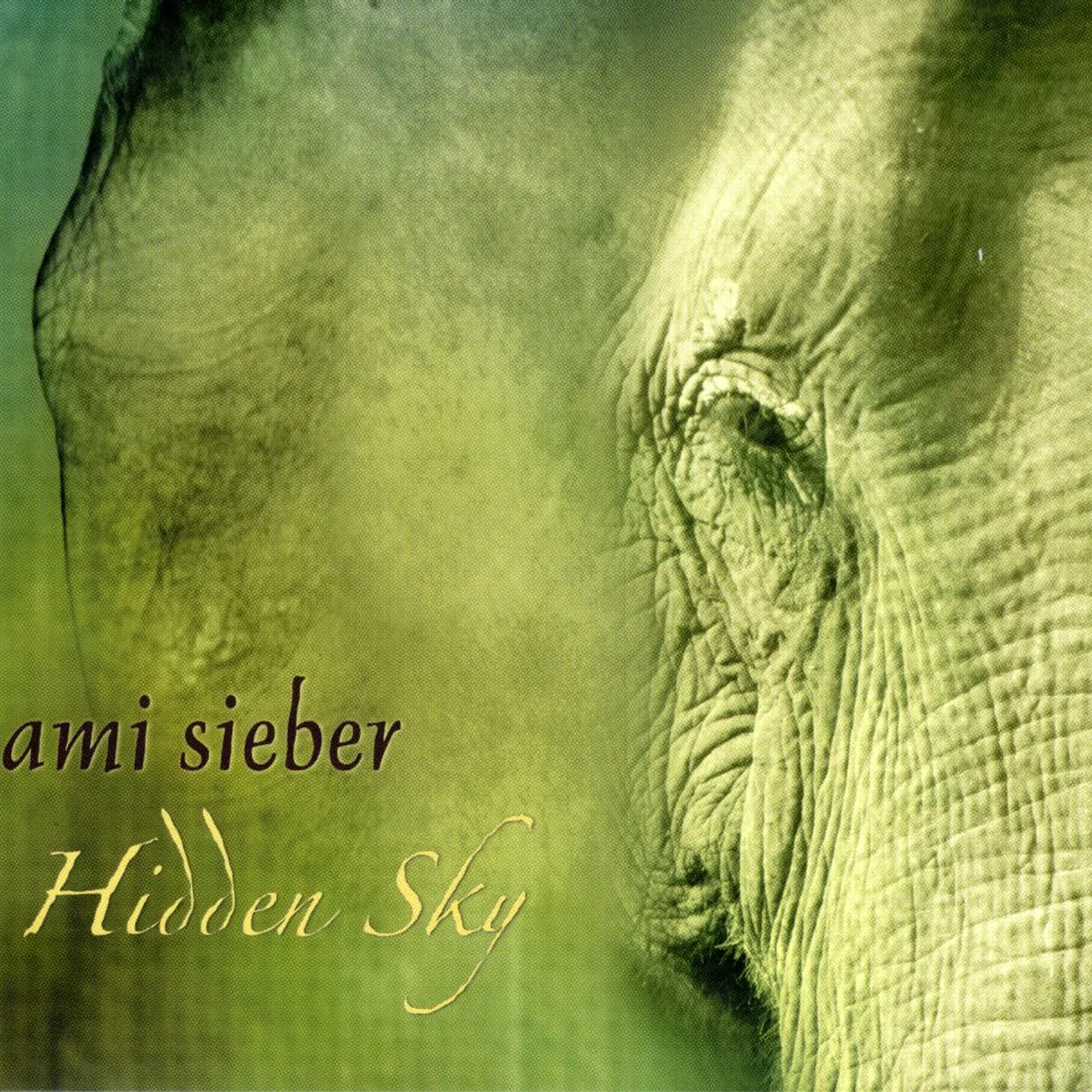Jami Sieber HIDDEN SKY CD