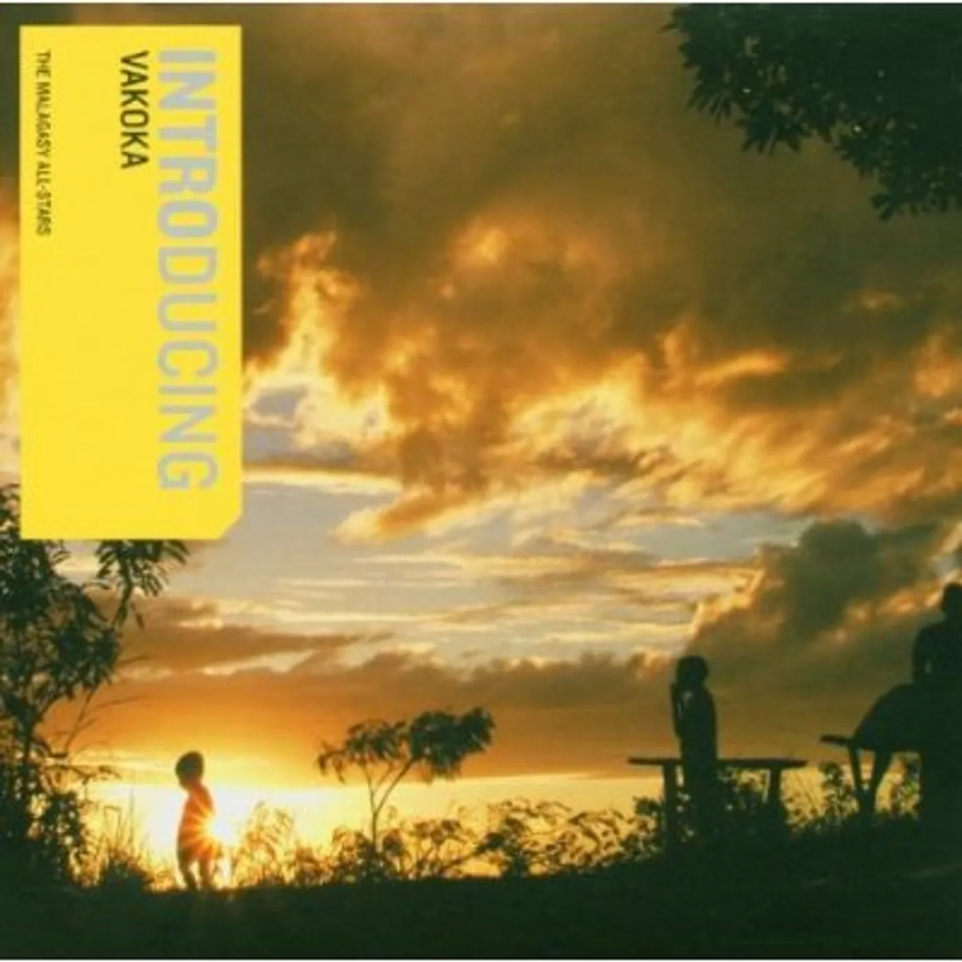 INTRODUCING VAKOKA CD