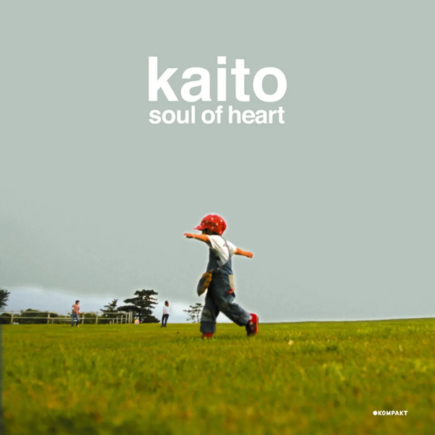 Kaito Soul Of Heart Vinyl Record