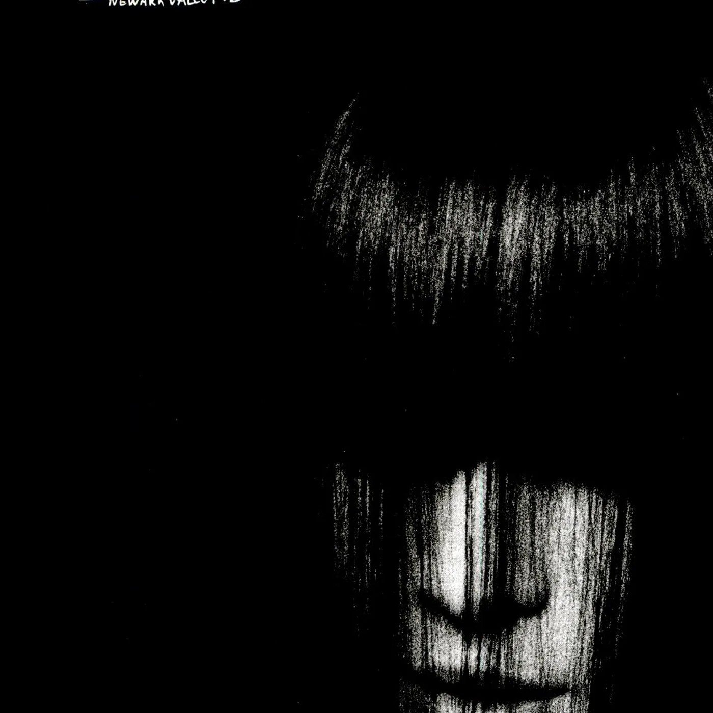 Gary Wilson NEWARK VALLEY Vinyl Record