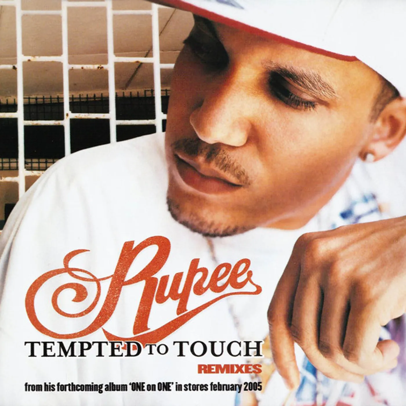 Rupee TEMPTED TO TOUCH (Vinyl)