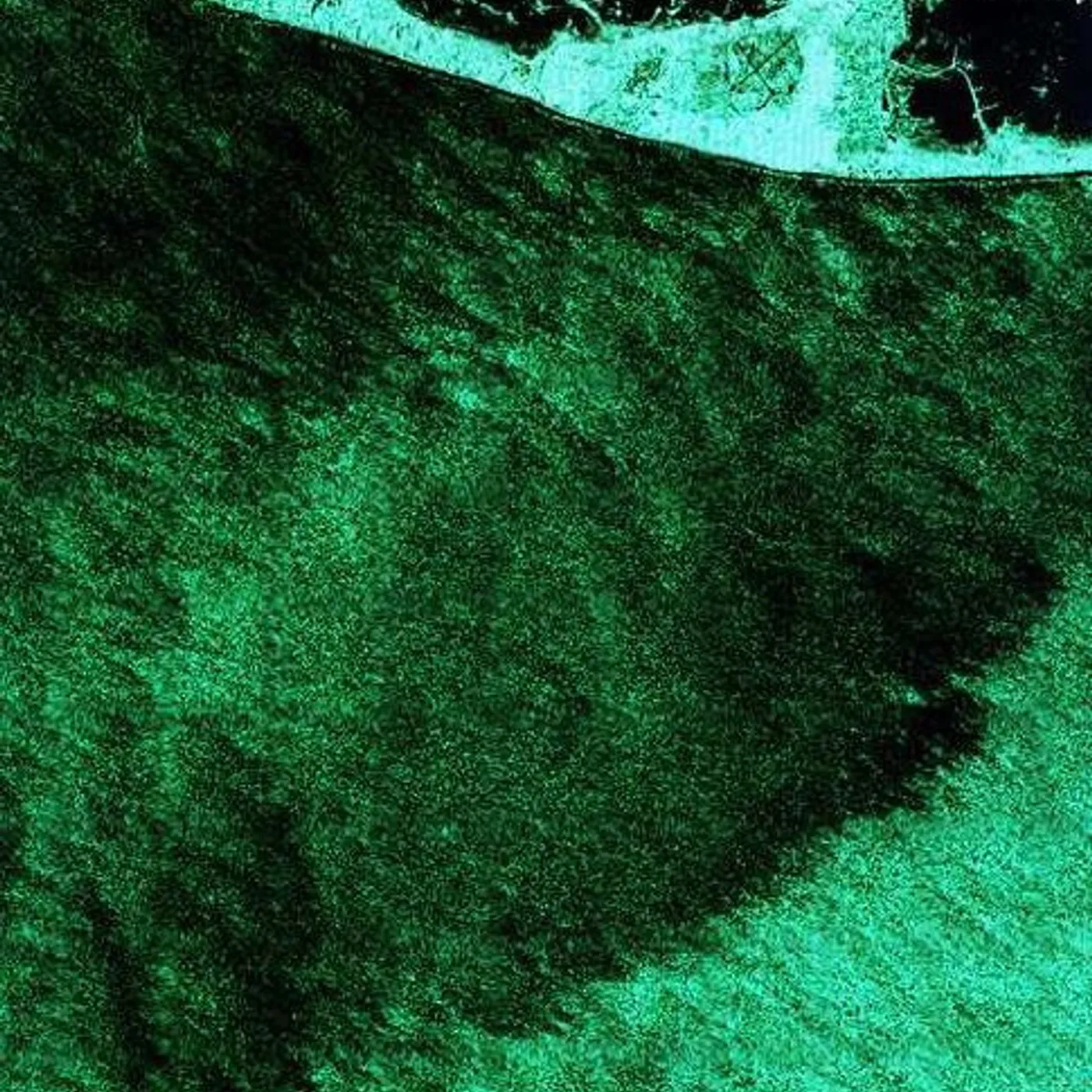 Ekkehard Ehlers PLAYS HUBERT FICHTE Vinyl Record