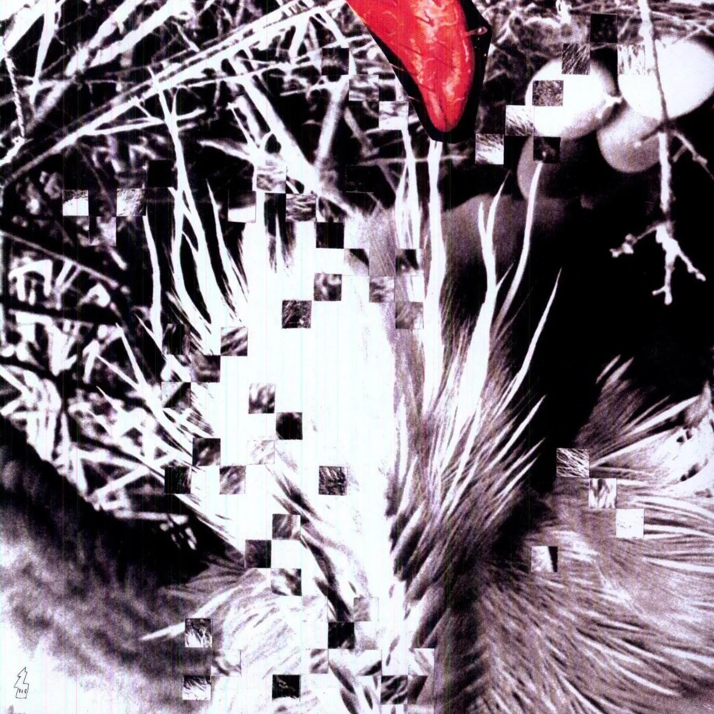 Black Dice Creature Comforts Vinyl Record