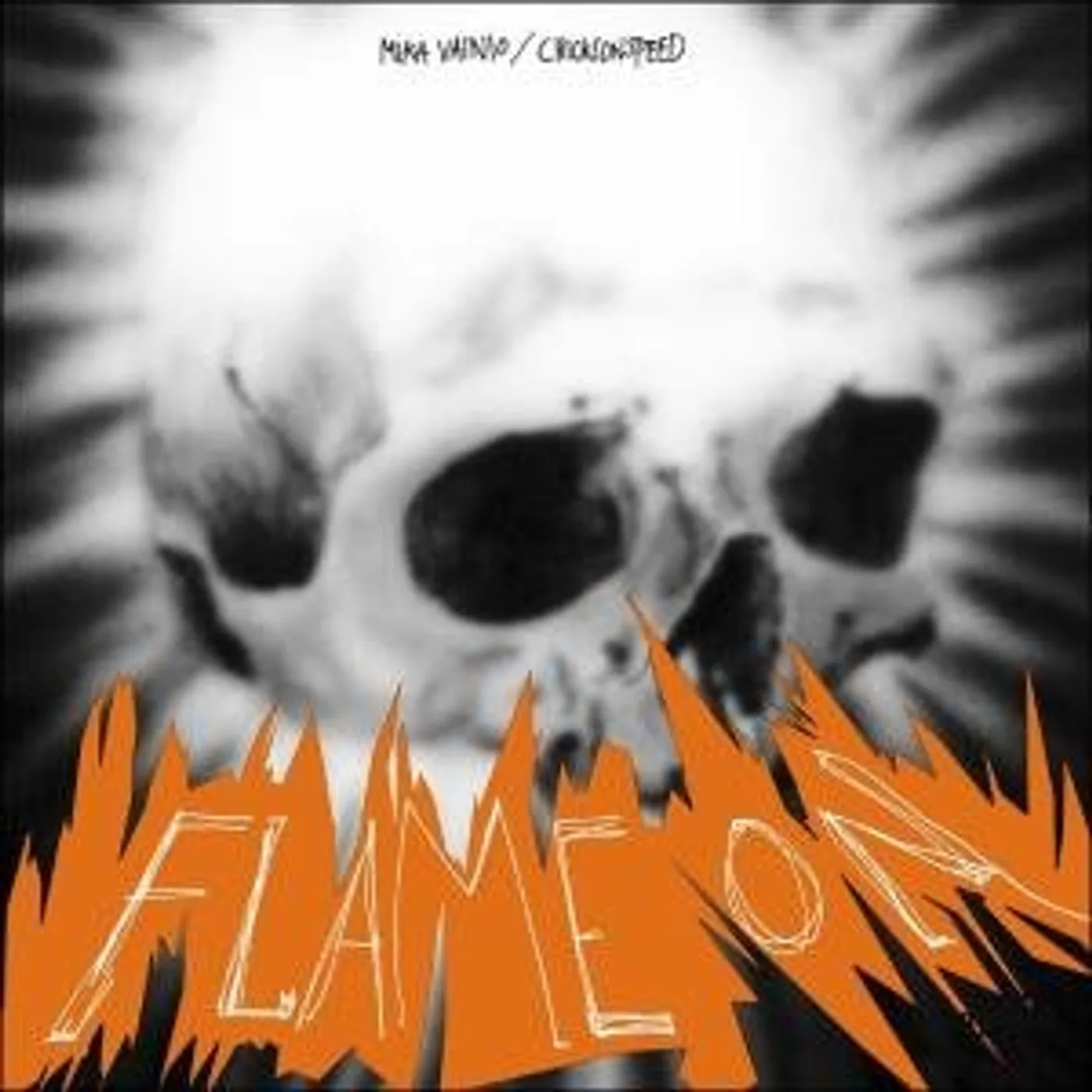 Chicks On Speed Flame On Vinyl Record