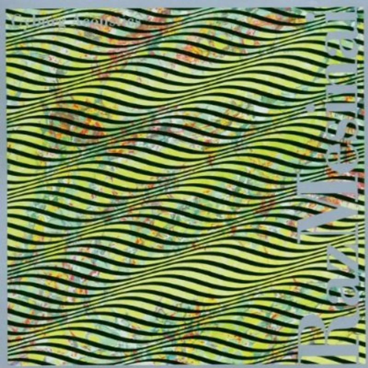 Raz Mesinai CYBORG ACOUSTICS CD