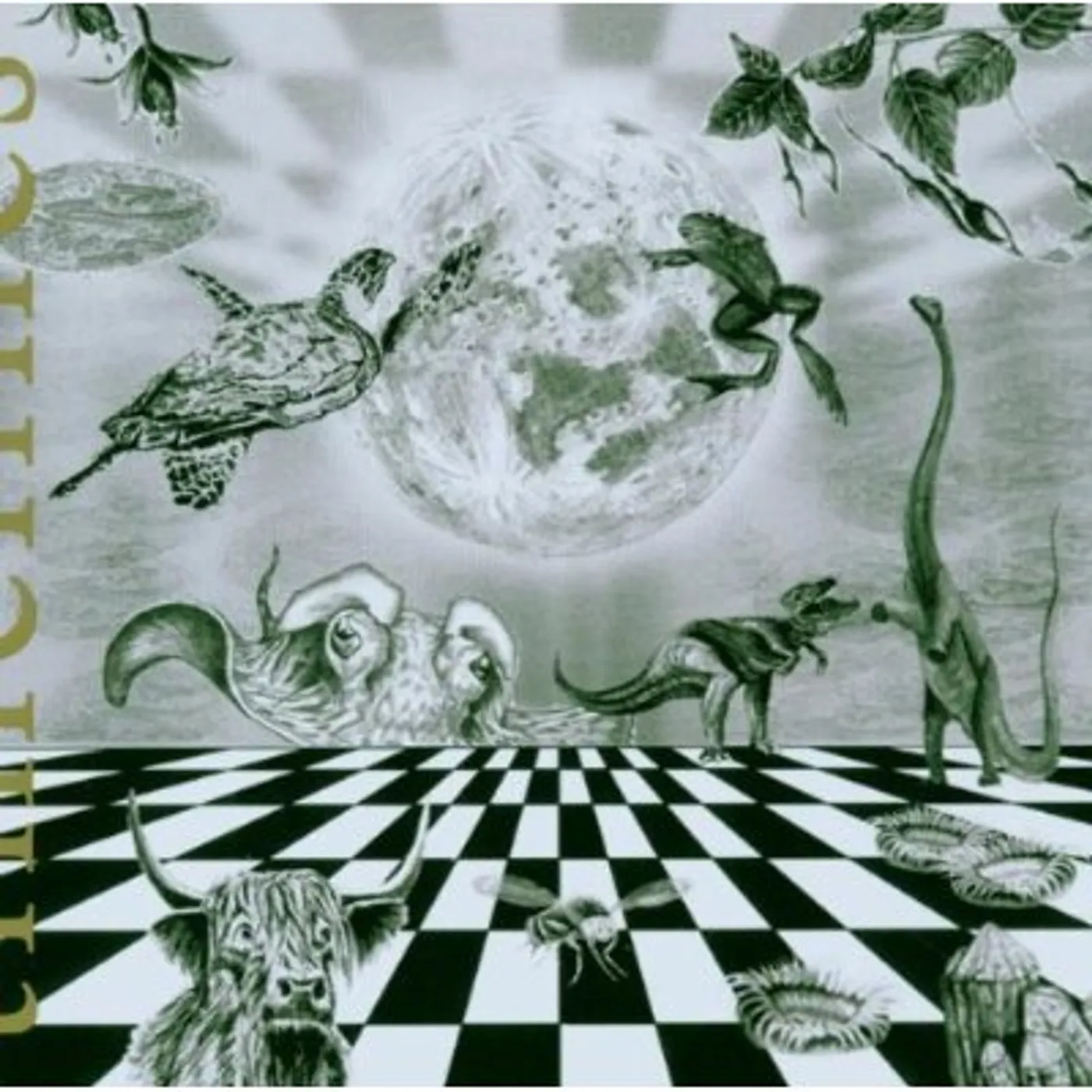 Lesli Dalaba TIMELINES CD