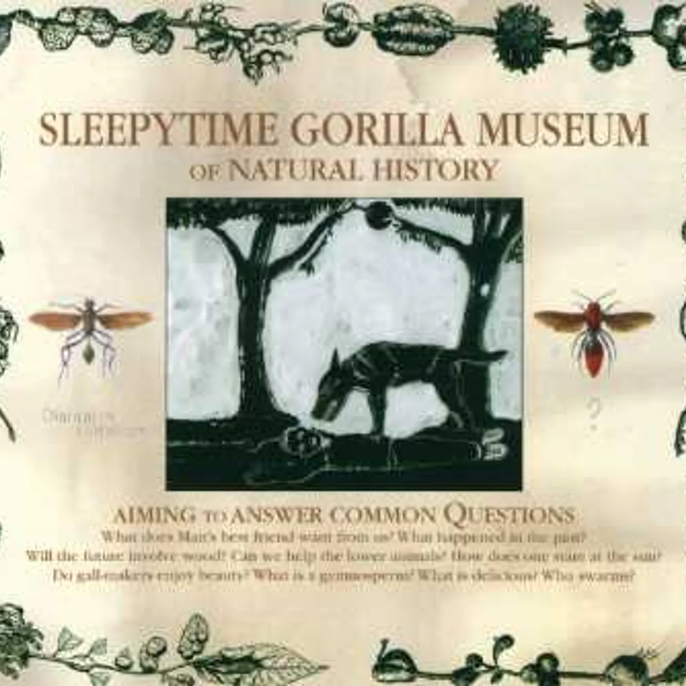 Sleepytime Gorilla Museum OF NATURAL HISTORY CD