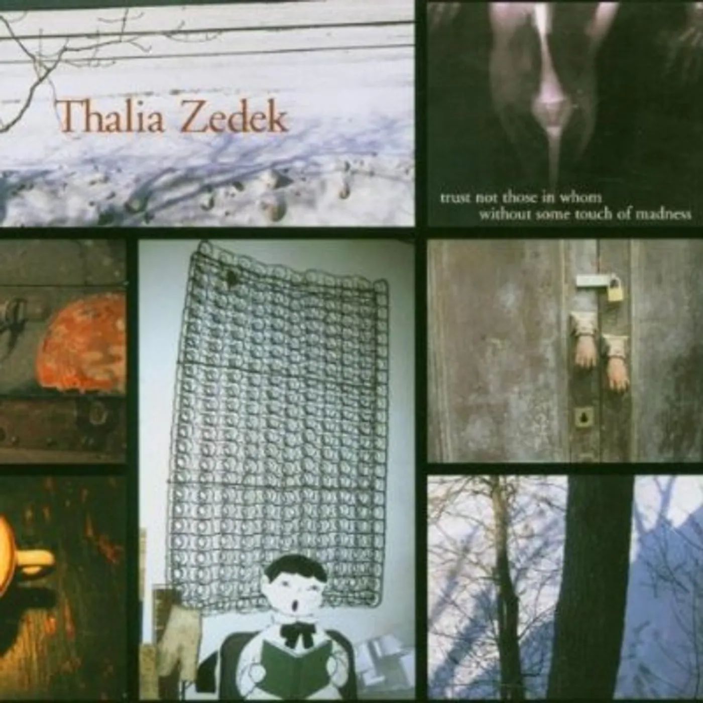 Thalia Zedek TRUST NOT THOSE IN WHOM WITHOUT SOME TOUCH OF MADN CD
