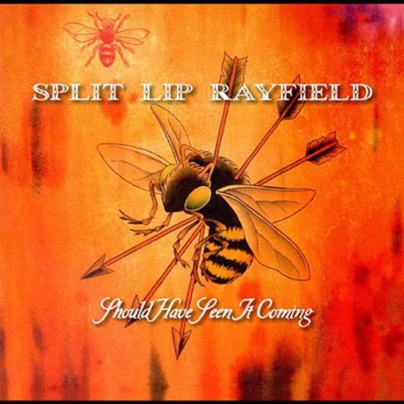 Split Lip Rayfield SHOULD HAVE SEEN IT COMING CD