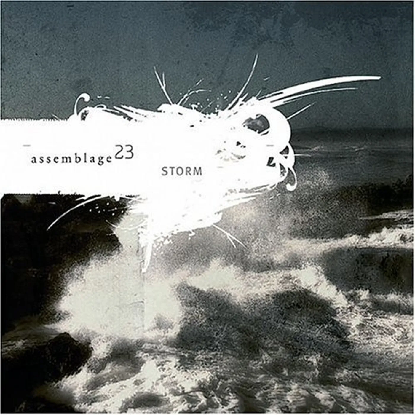 Assemblage 23 STORM CD