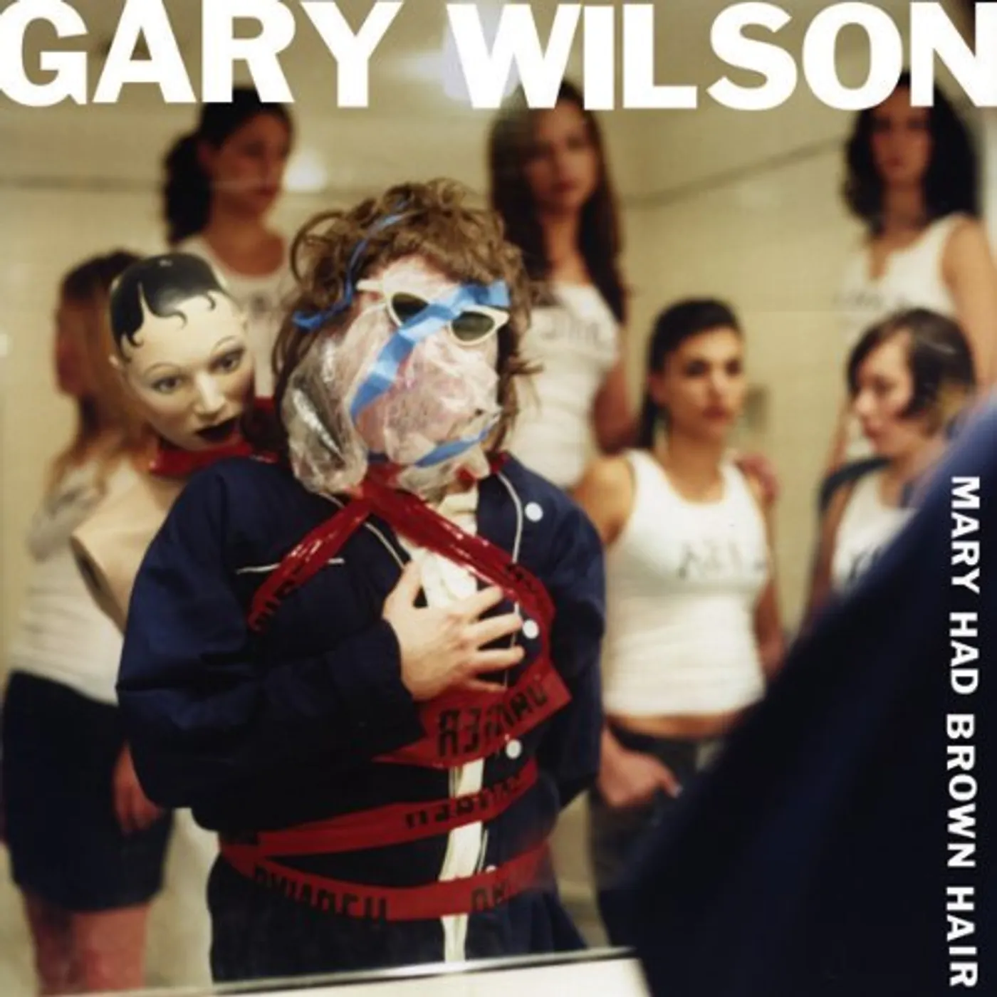 Gary Wilson Mary Had Brown Hair Vinyl Record