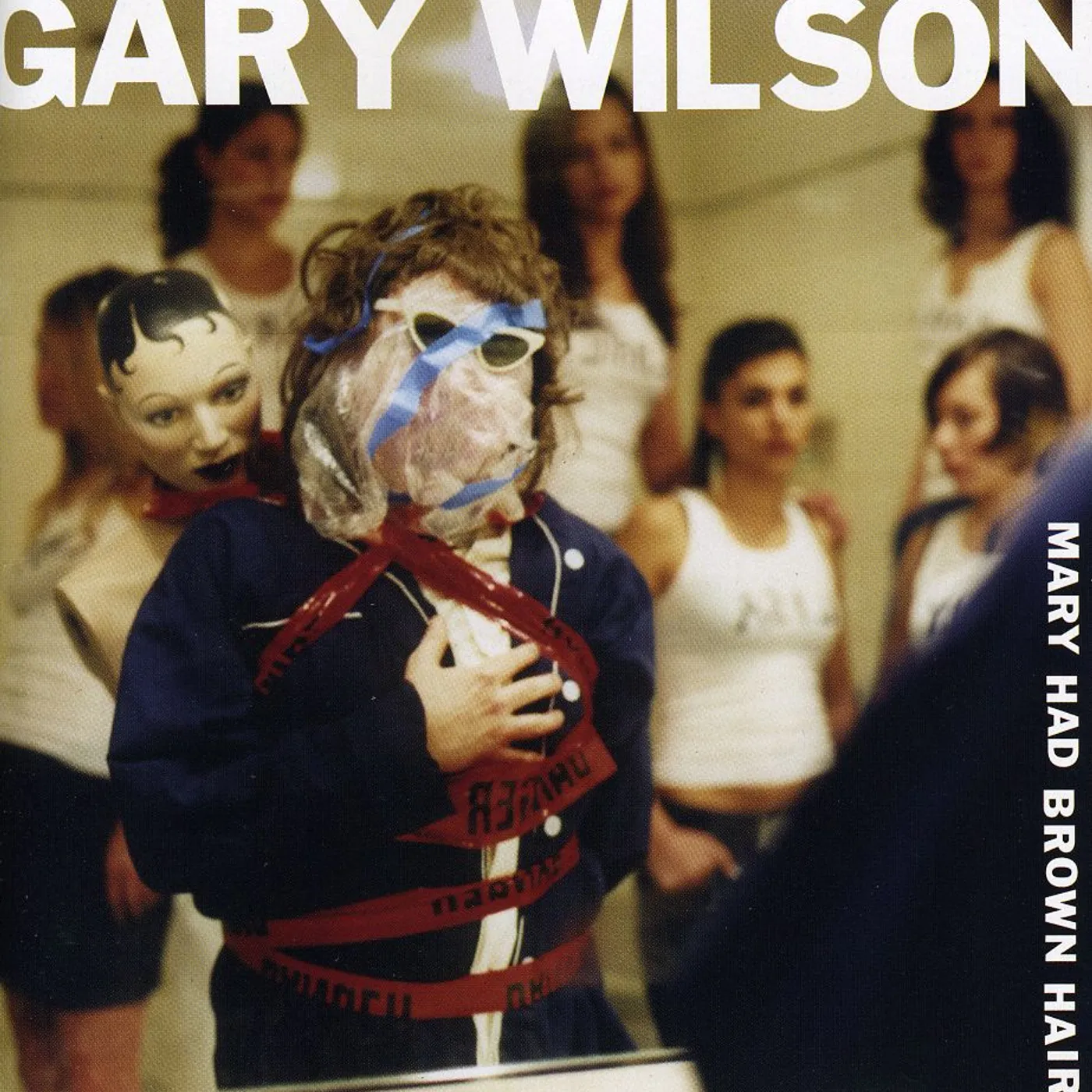 Gary Wilson MARY HAD BROWN HAIR CD