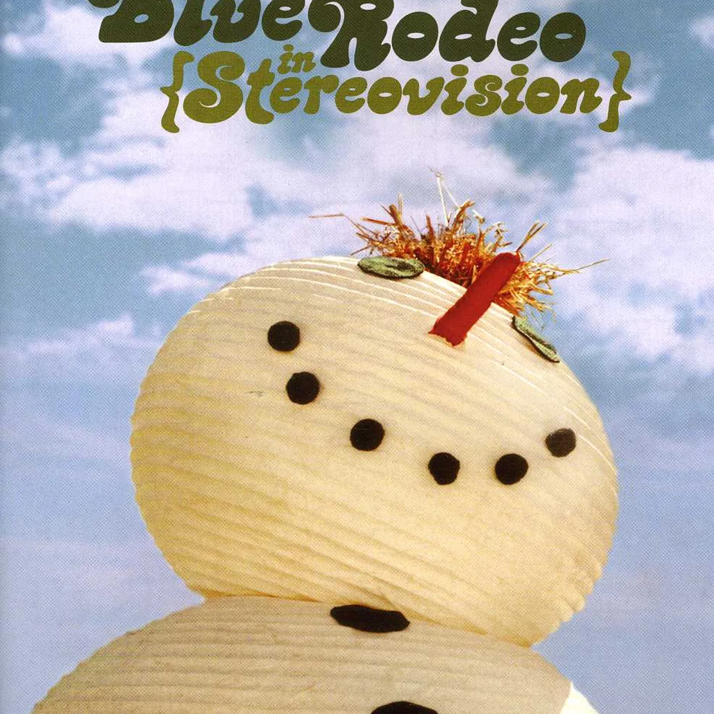 Blue Rodeo IN STEREOVISION DVD