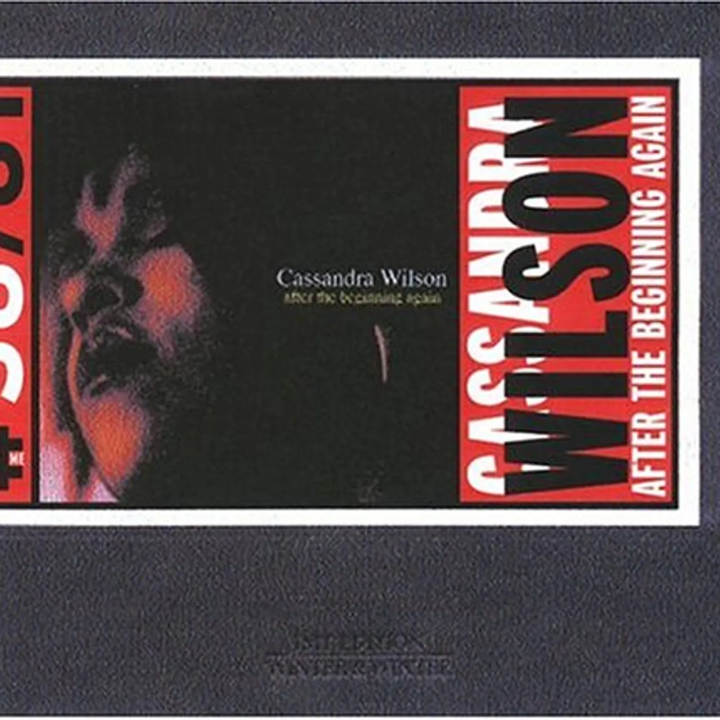 Cassandra Wilson AFTER THE BEGINNING AGAIN CD
